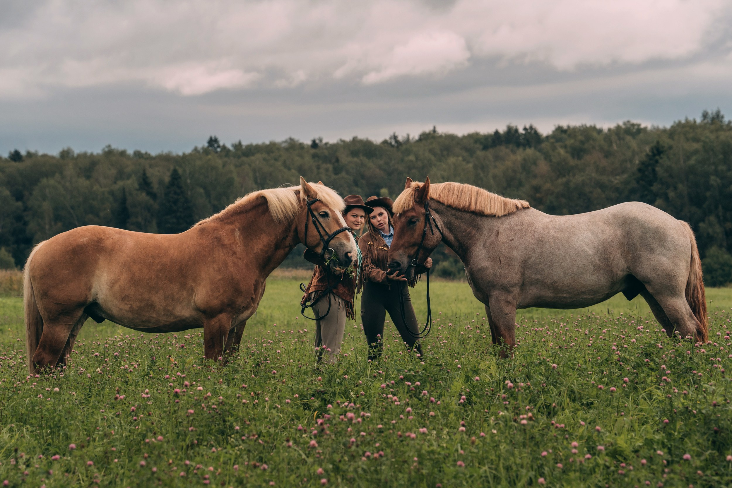 КСК Славино. Фотограф-анималист, портретный фотограф в Чебоксарах Мария Садыкова