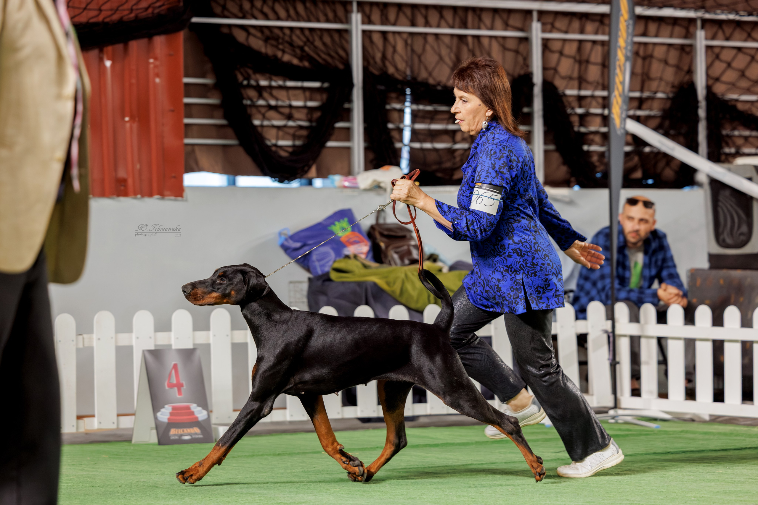 Телави 11-12.10.2025. Фотограф-анималист Юлия Германика
