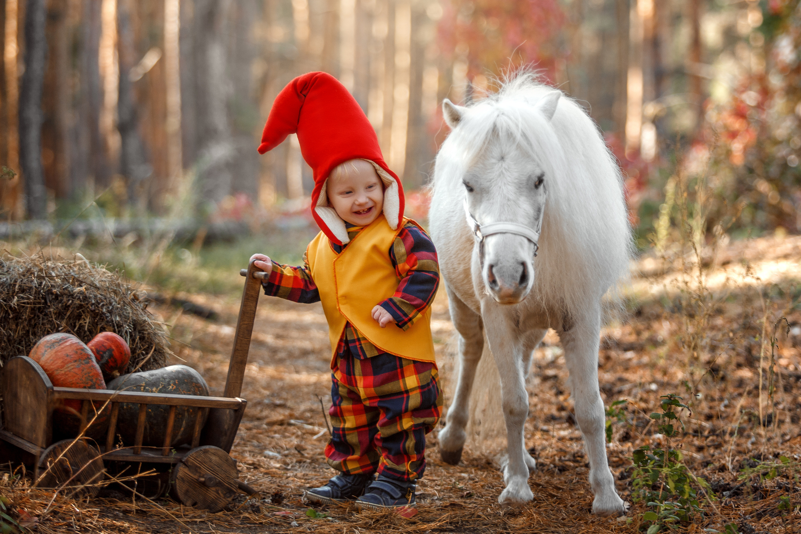 Детская сказка. Детский фотограф и фотограф новорожденных в Воронеже Наташа Алехина