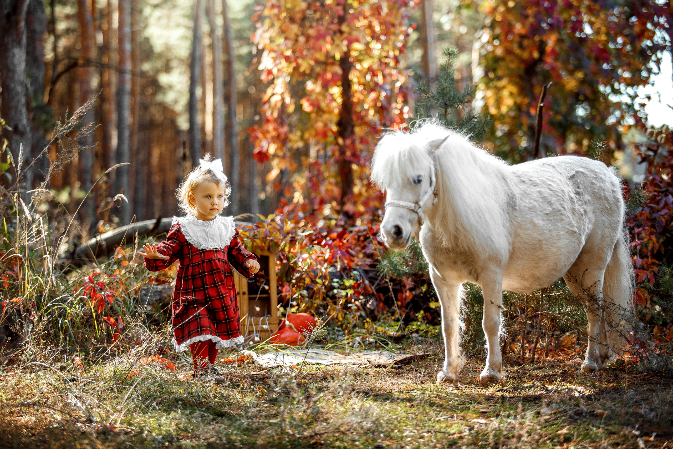 Детская сказка. Детский фотограф и фотограф новорожденных в Воронеже Наташа Алехина