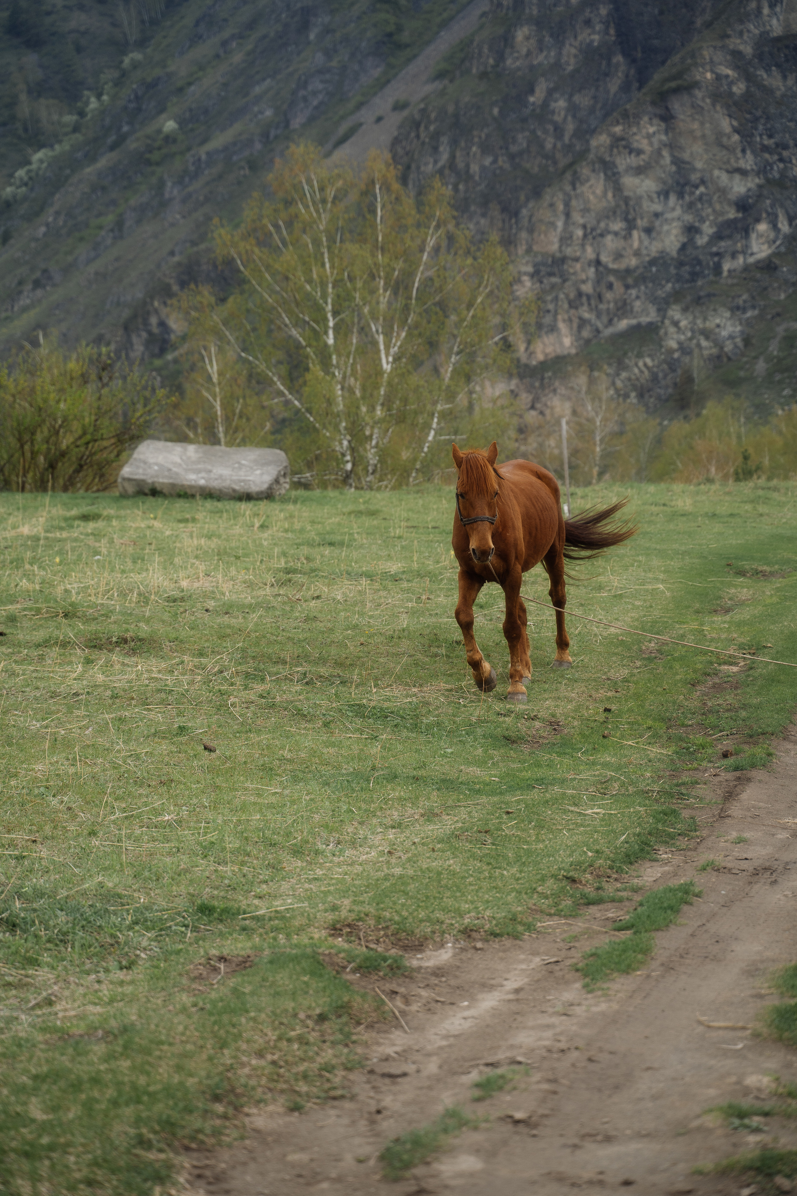 Алтайская свадьба. Свадебный фотограф организатор в Санкт-Петербурге Ассоль Опарина