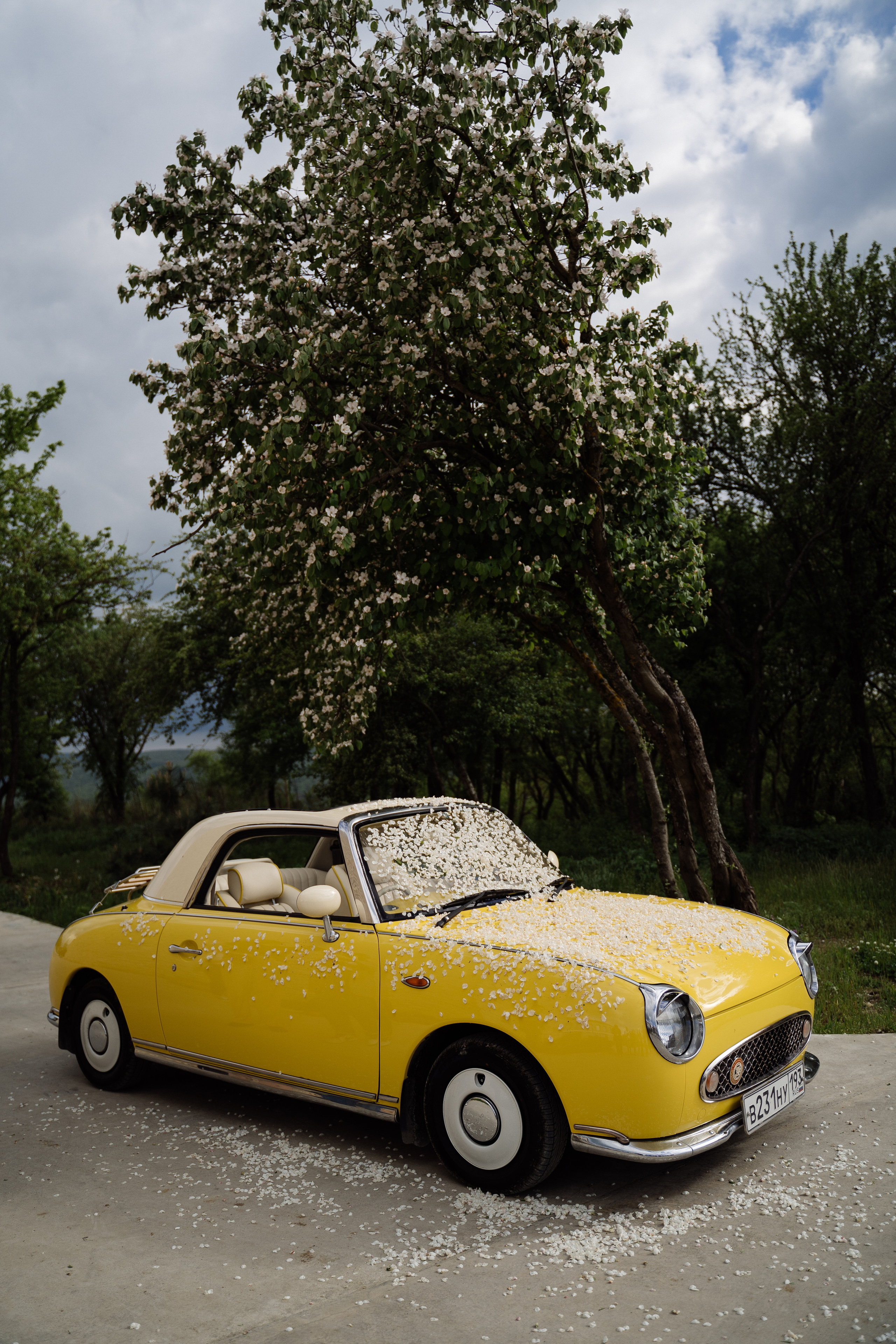 Свадьба в шато. Свадебный фотограф организатор в Санкт-Петербурге Ассоль Опарина