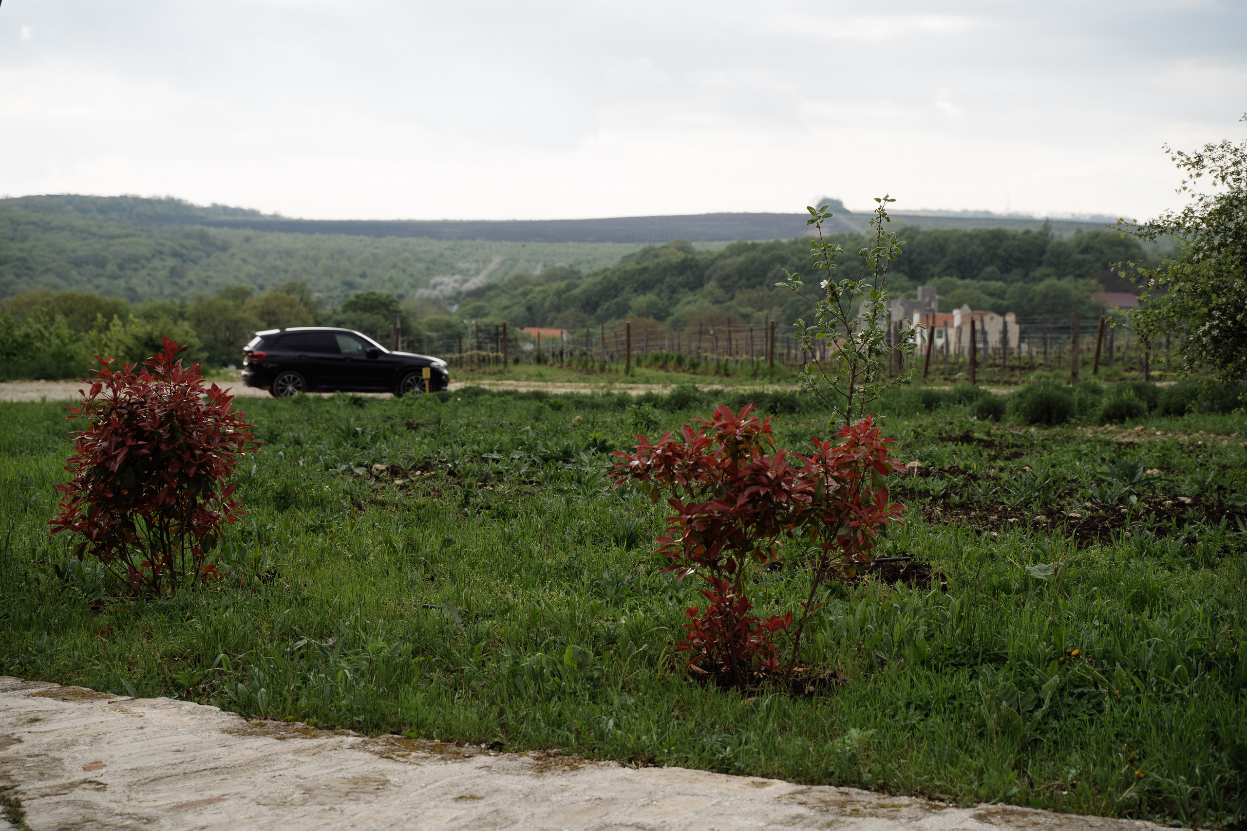 Свадьба в шато. Свадебный фотограф организатор в Санкт-Петербурге Ассоль Опарина