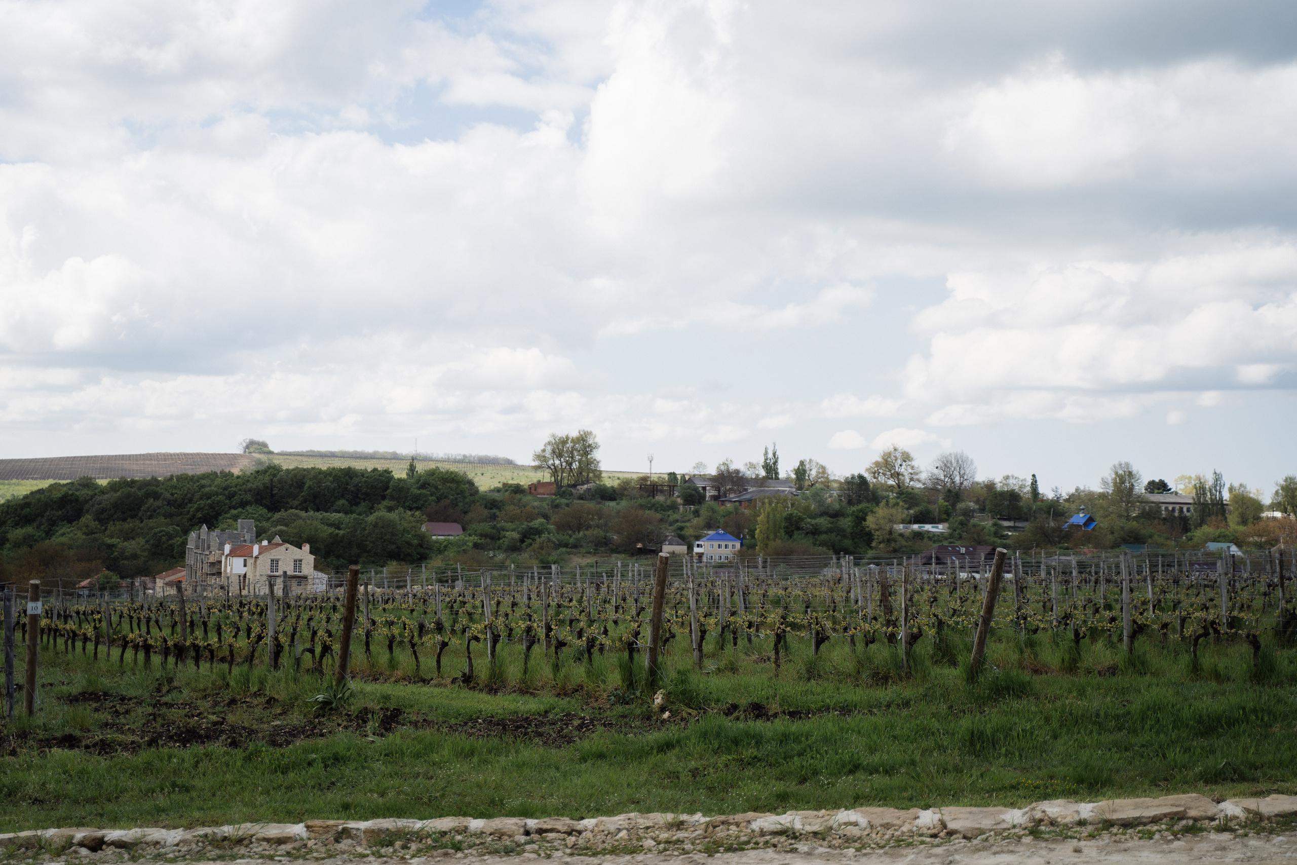 Свадьба в шато. Свадебный фотограф организатор в Санкт-Петербурге Ассоль Опарина
