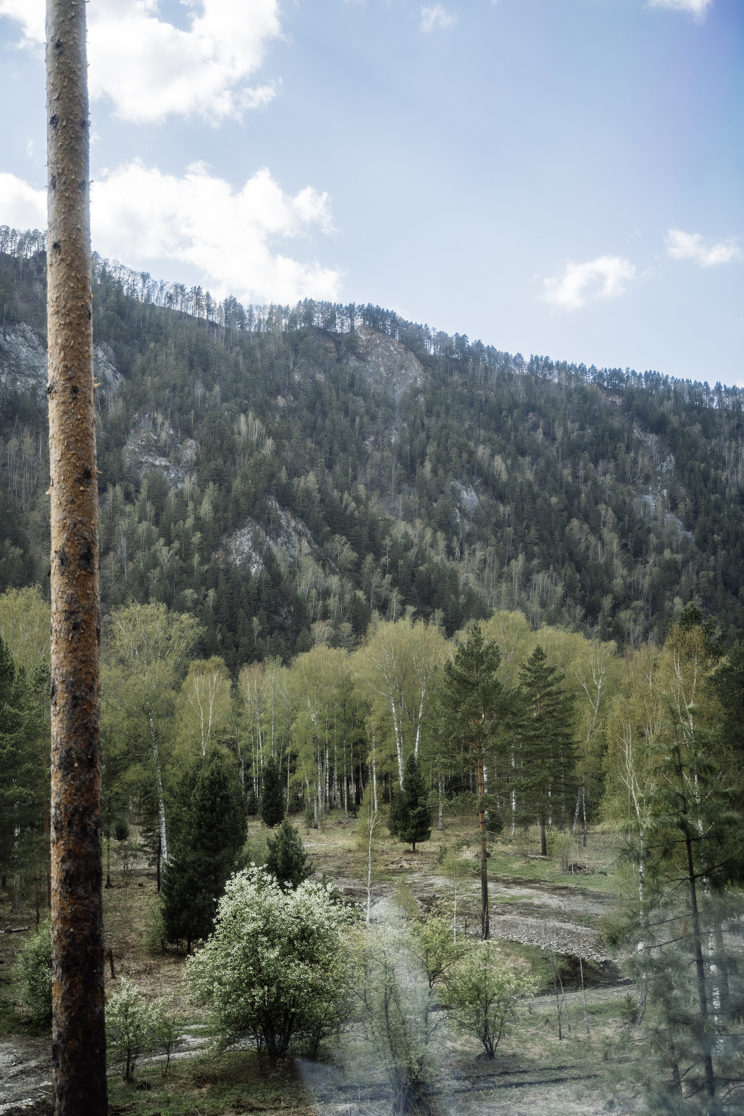 Алтайская свадьба. Свадебный фотограф организатор в Санкт-Петербурге Ассоль Опарина