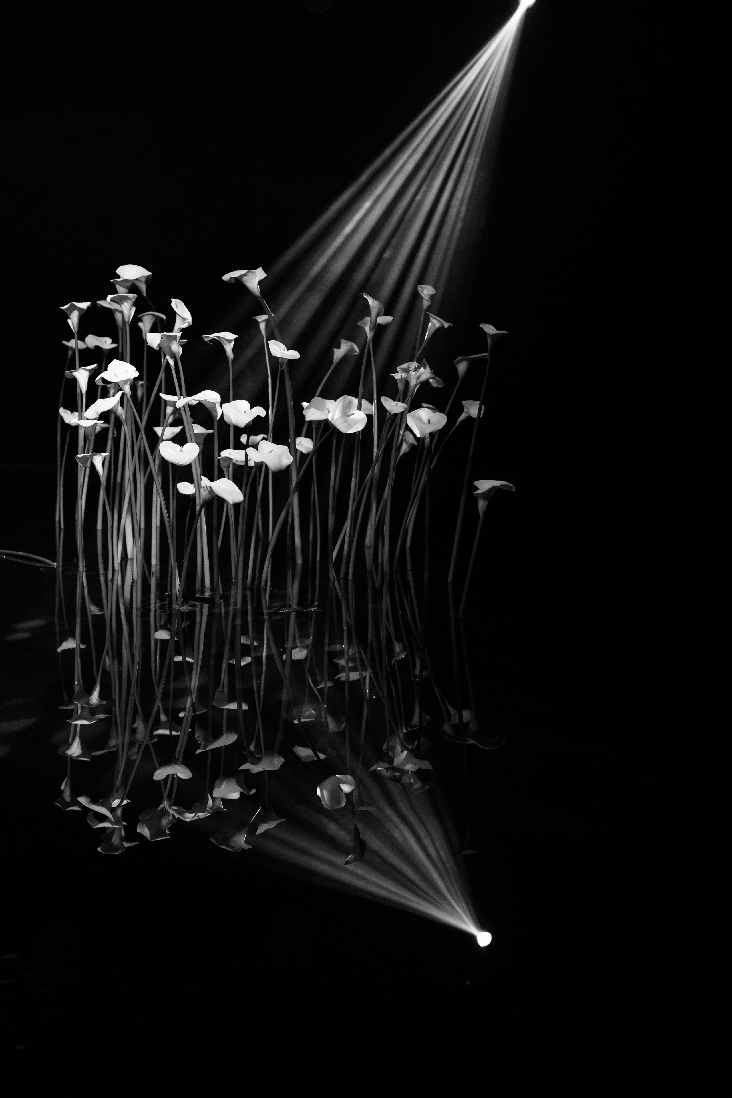 Вдохновение подиумом. Свадебный фотограф организатор в Санкт-Петербурге Ассоль Опарина