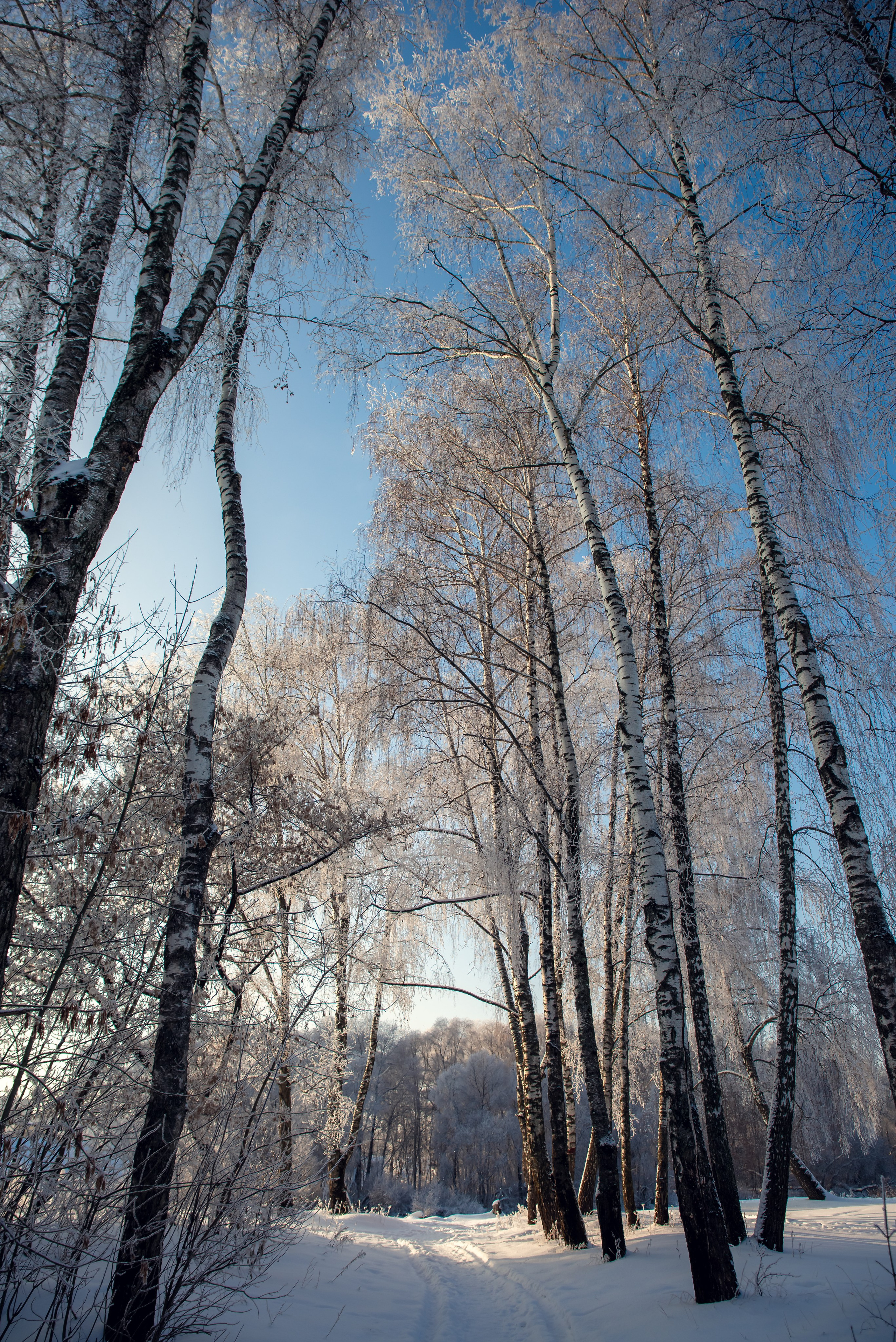 Зимушка зима. Фотограф Крещение Венчание Москва