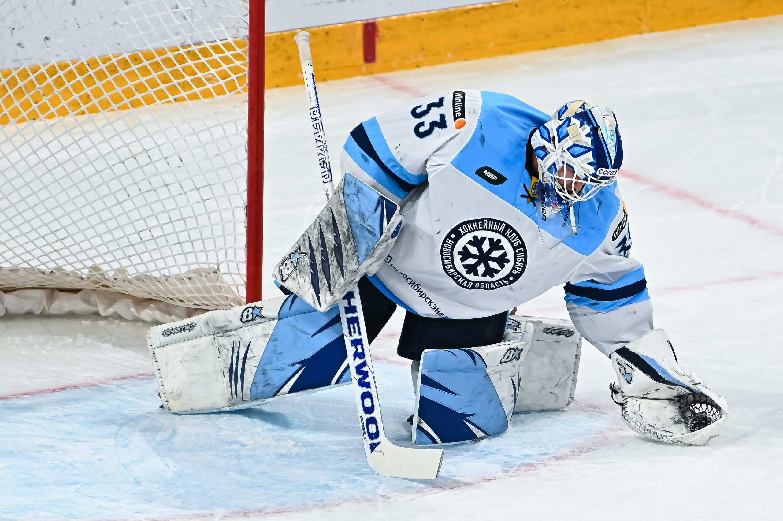 Металлург-Сибирь 20.11.2023. Спортивный и репортажный фотограф в Магнитогорске