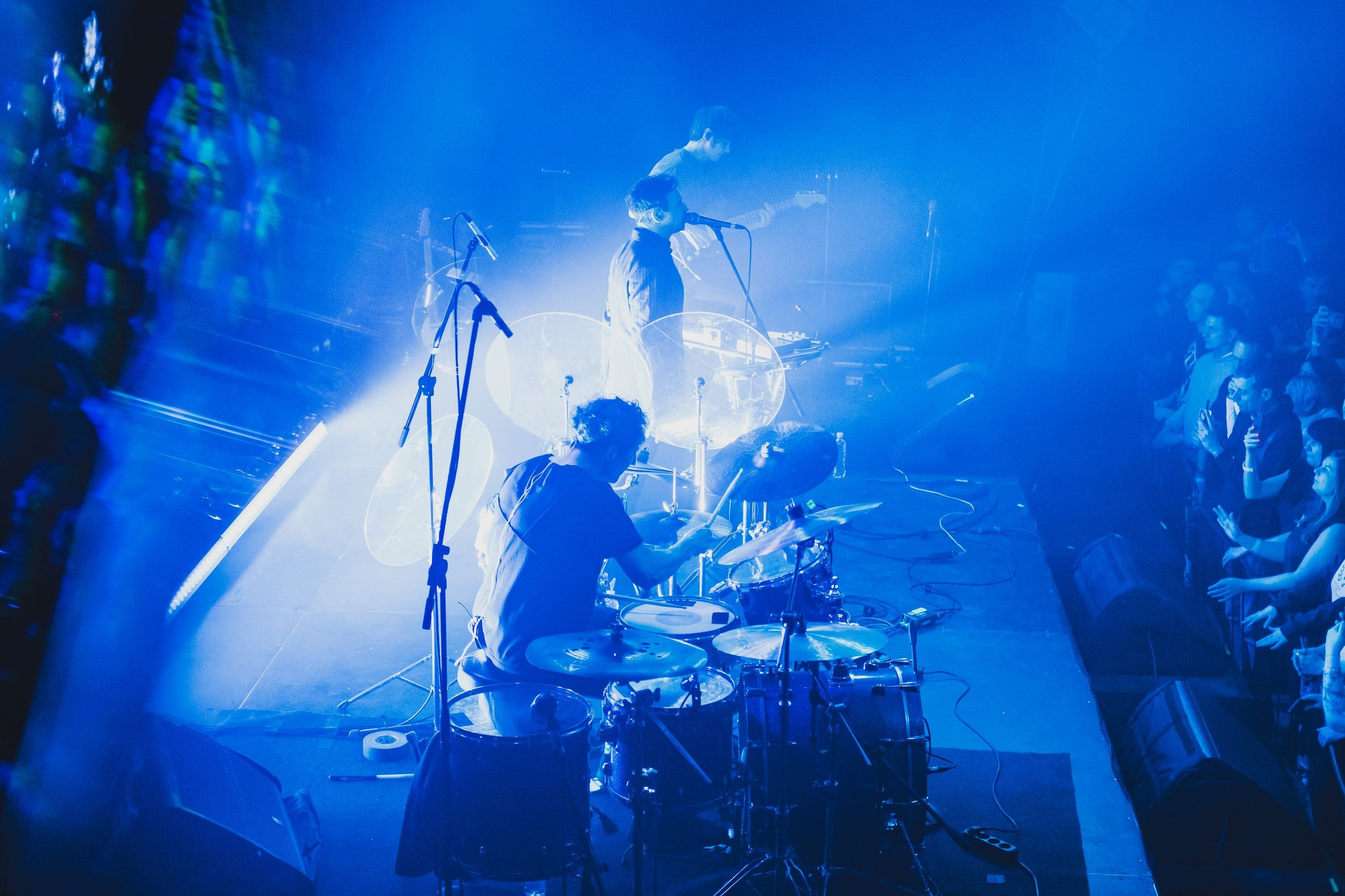 Дельфин. Репортажный фотограф Алексей Пирязев