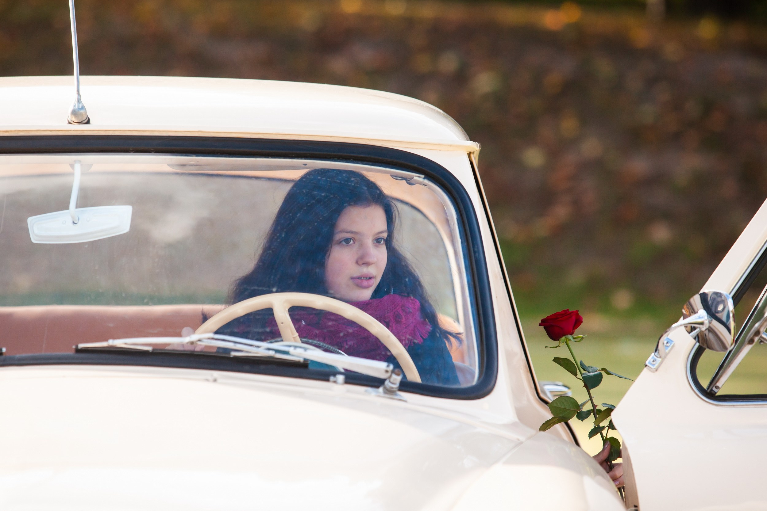 Кубок Губернатора по конкуру (21 сентября 2019). Репортажный фотограф Алексей Пирязев