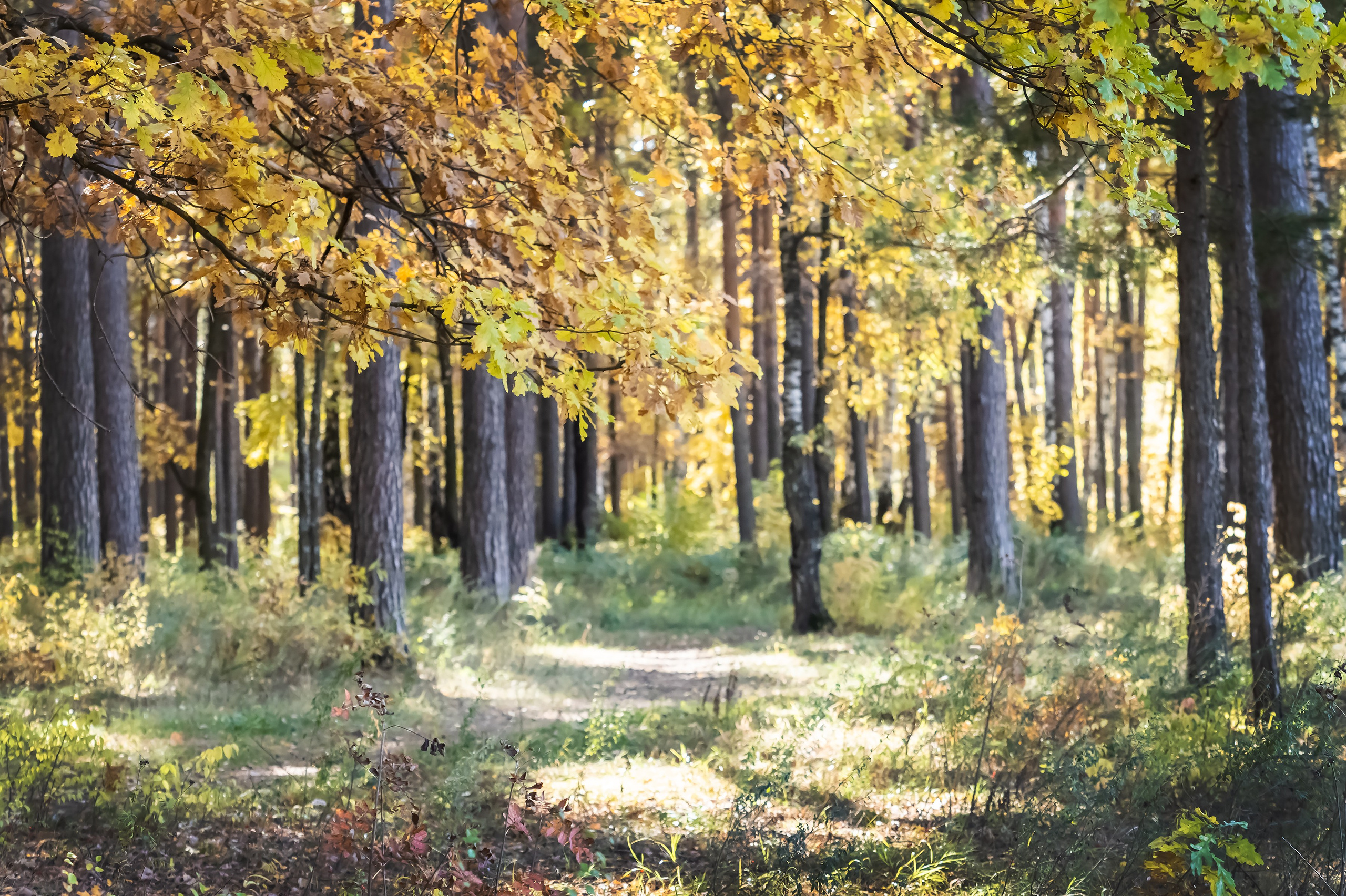 Красота Заречного. Репортажный, семейный и детский фотограф в Пензе и Заречном Арина Ермилова. Картины барельеф на заказ