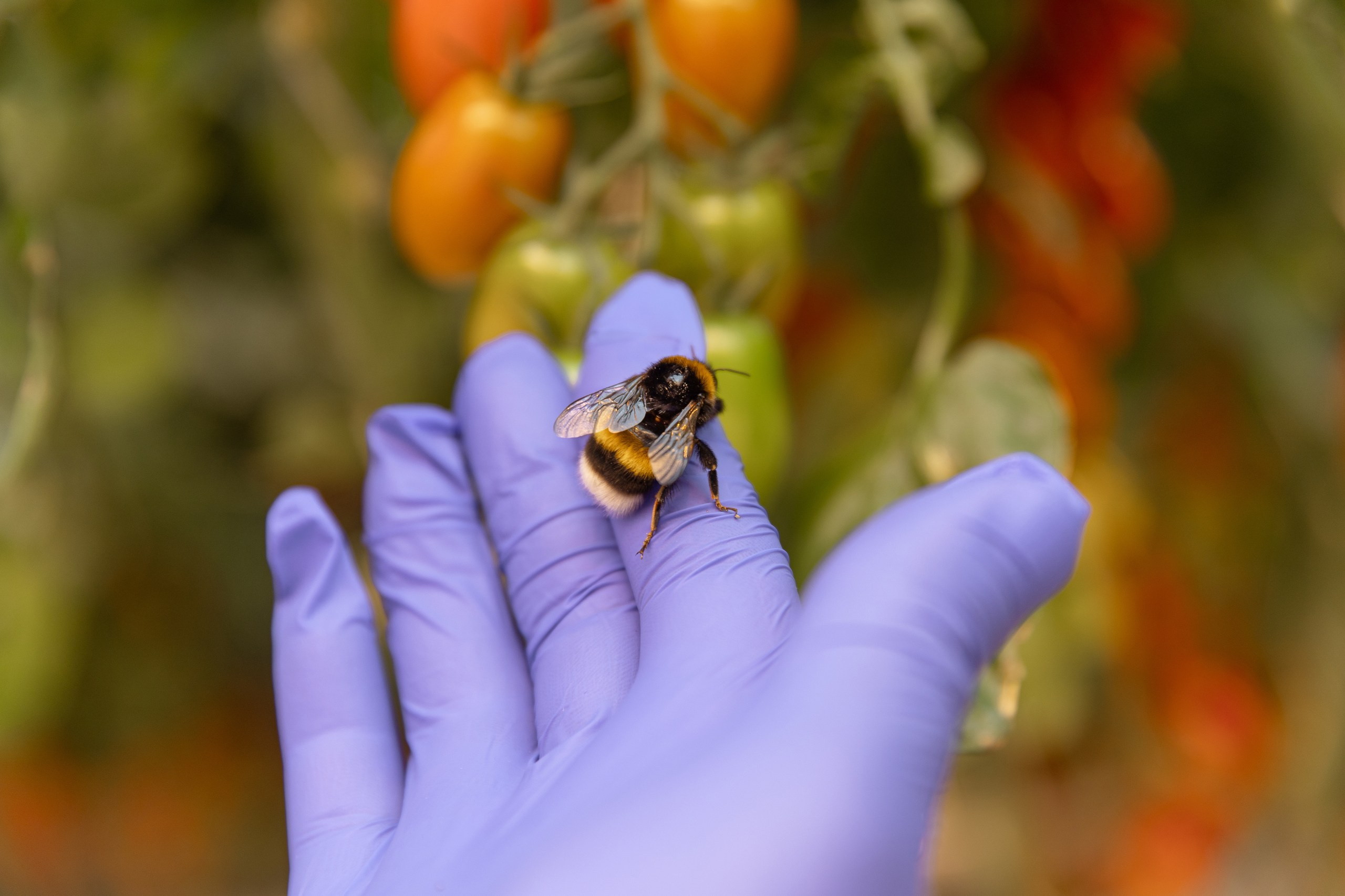 Производство. Фотограф Николай Петрушкин | Ставрополь, Москва