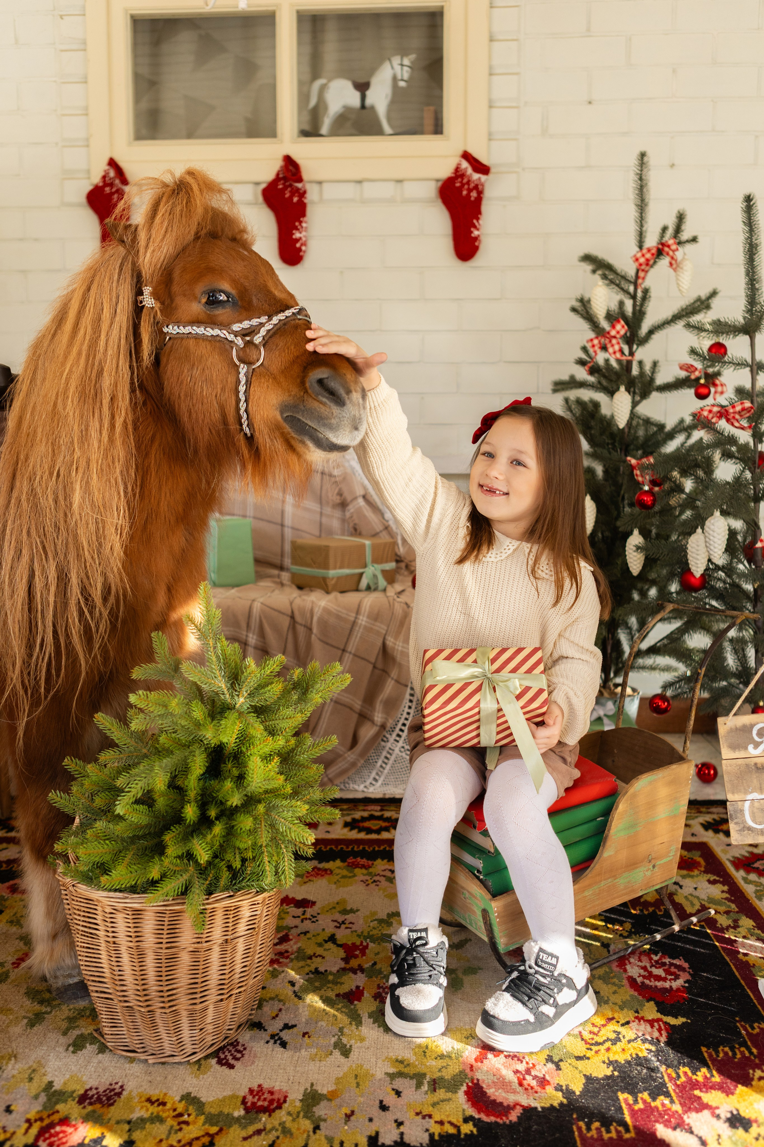 Символ 2026 года «Пони-Бонус». Фотостудия Ольги Сурухановой. Свадебный семейный и детский фотограф в Краснодаре Карина Федоровская
