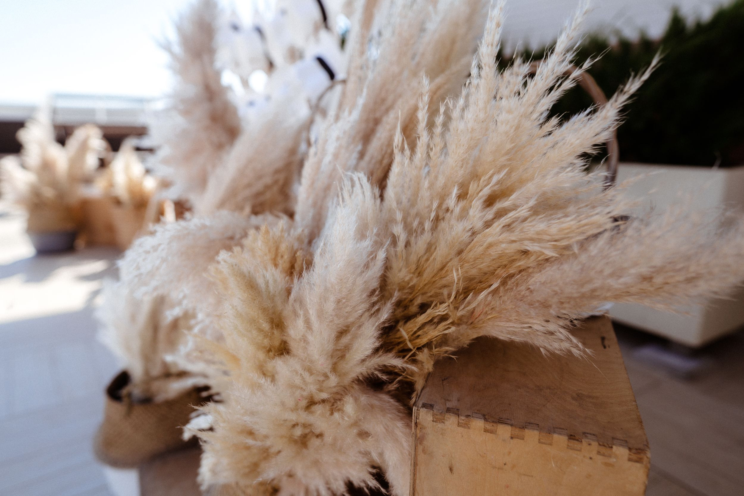 Анна — Иван. Elopement Wedding Photographer