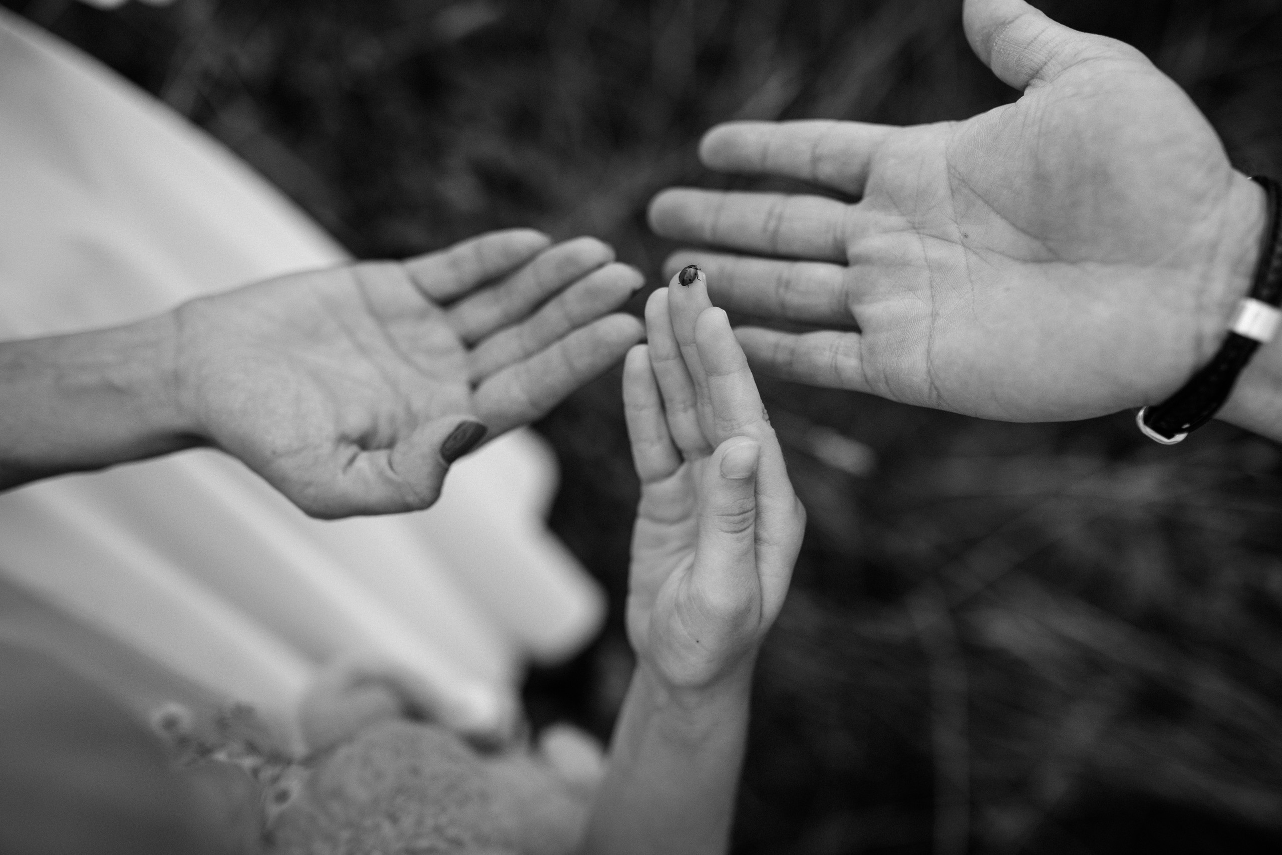 Алексей-Анна. Elopement Wedding Photographer