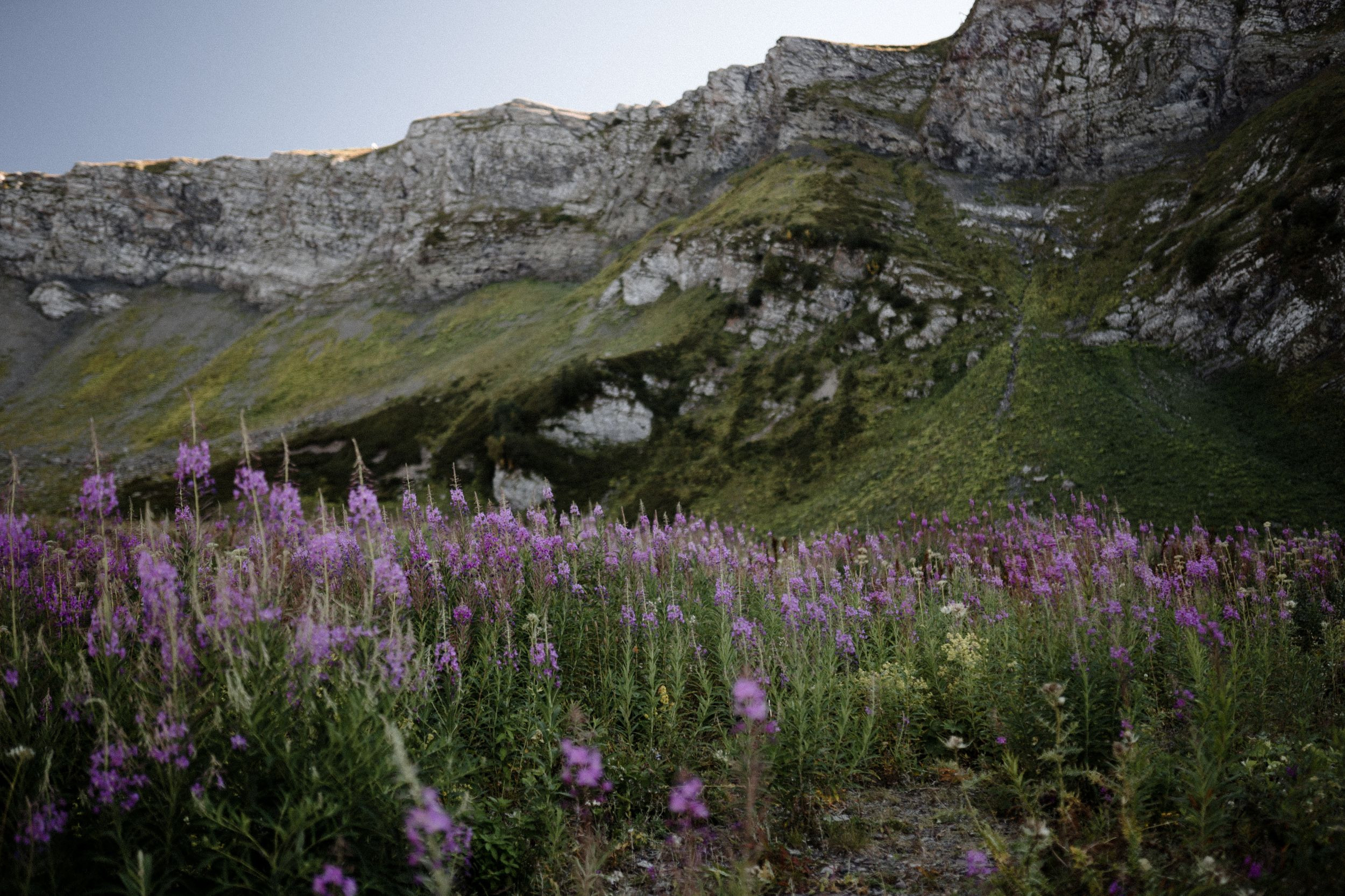 Анна — Иван. Elopement Wedding Photographer