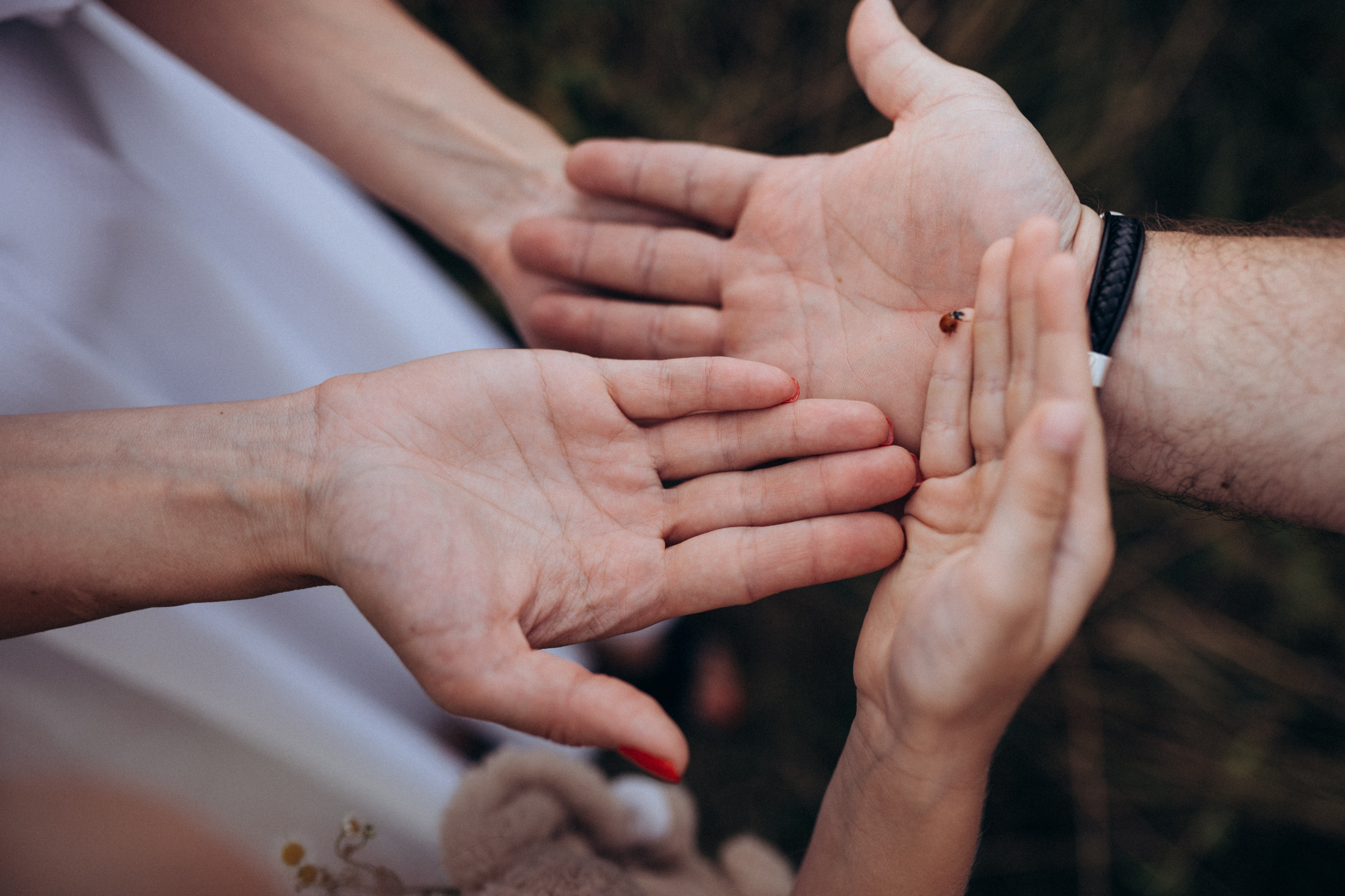 Алексей-Анна. Elopement Wedding Photographer