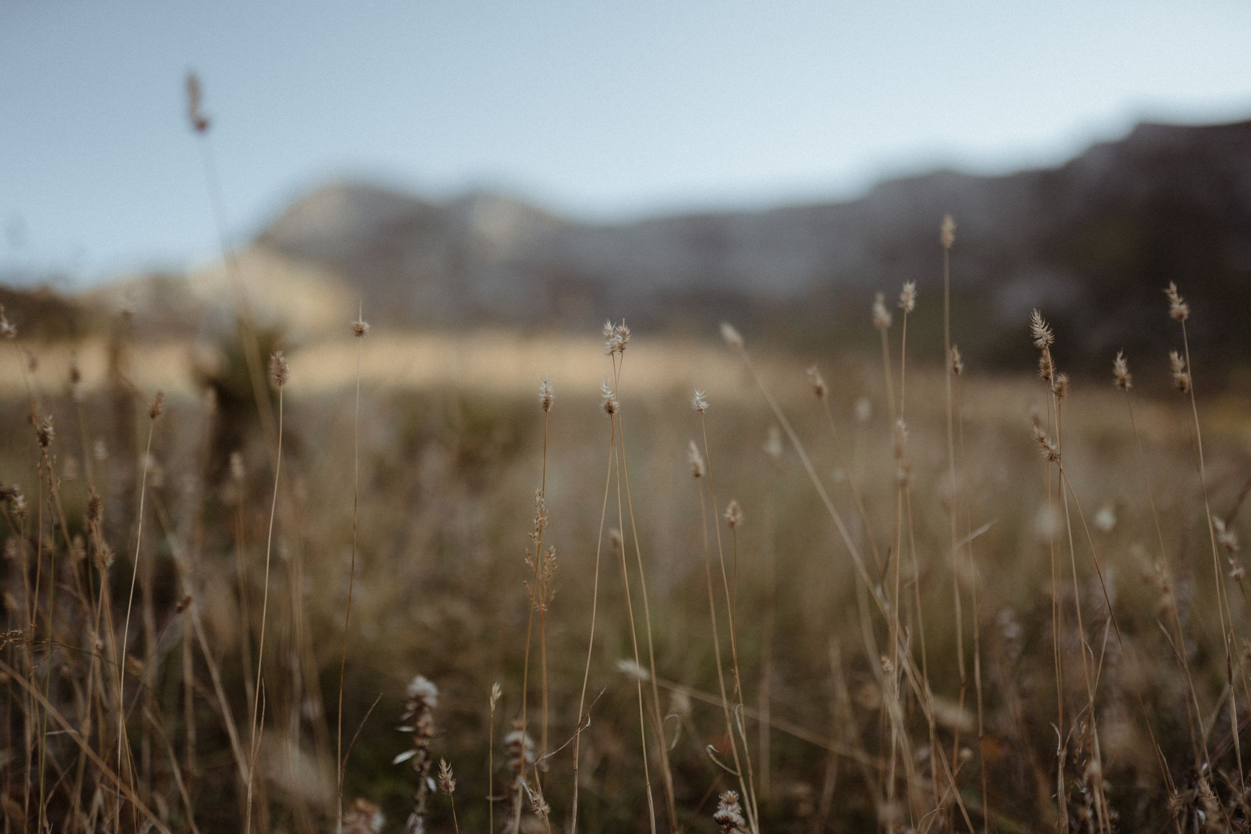 Анна-Никита. Elopement Wedding Photographer
