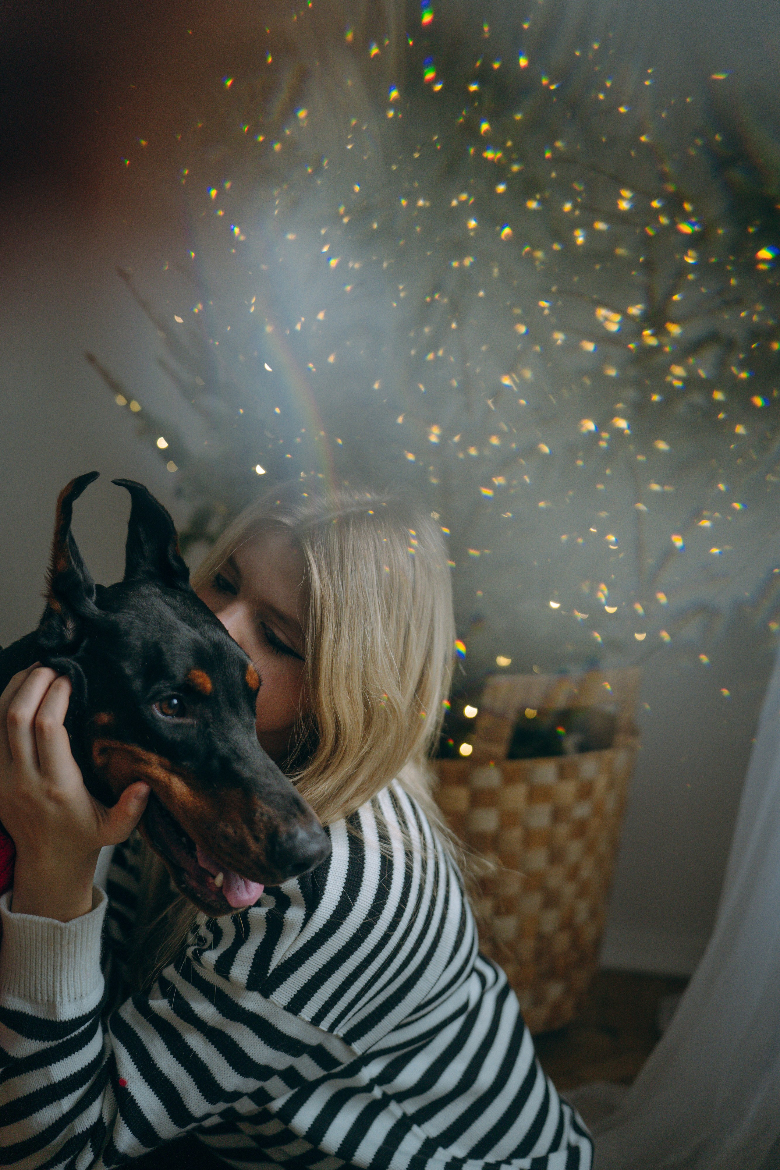 Саша и Асти. Фотограф анималист в Москве и Санкт-Петербурге Свиридова Анна