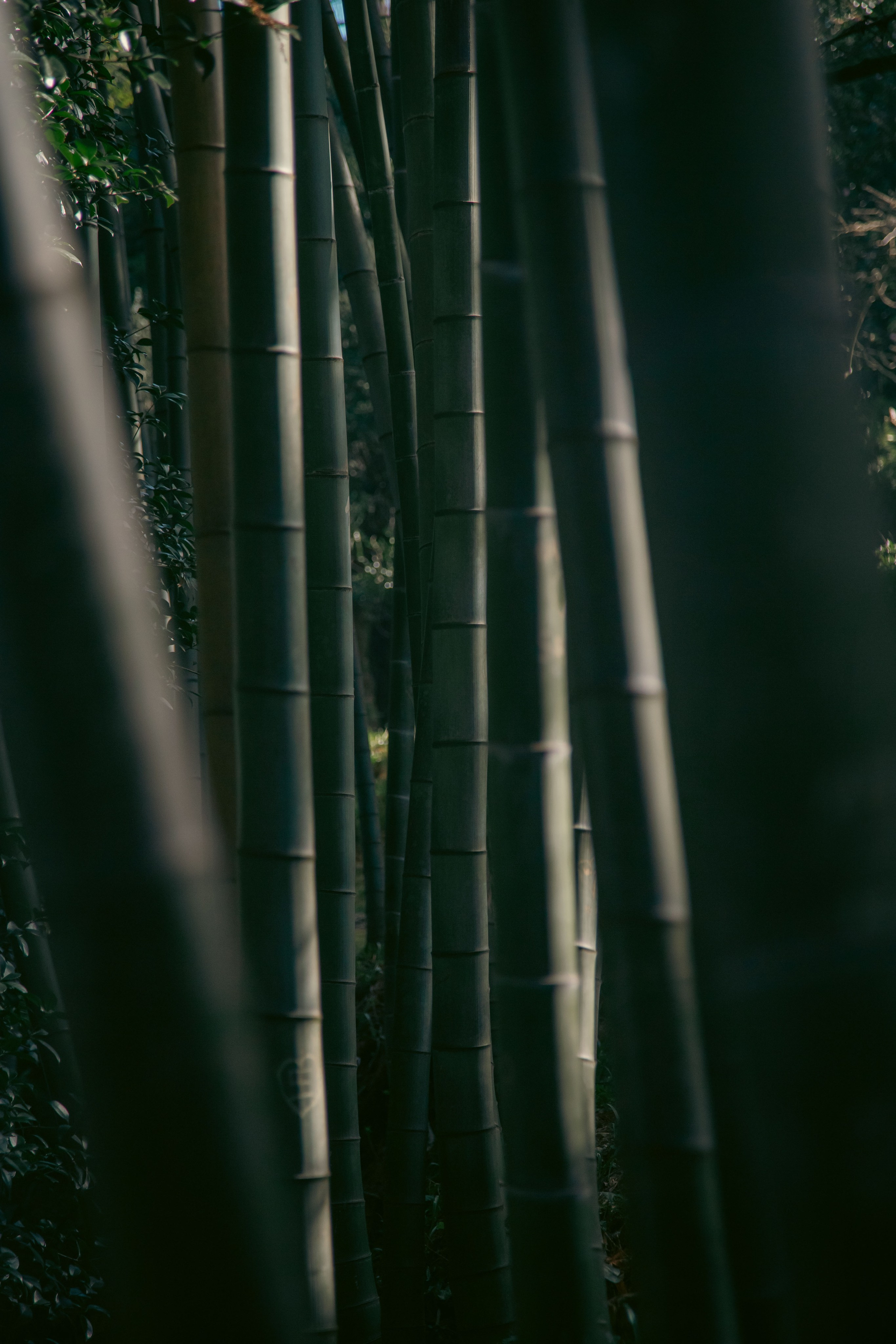 Batumi. Dmitriy [KCCC] is a pretty cool photographer