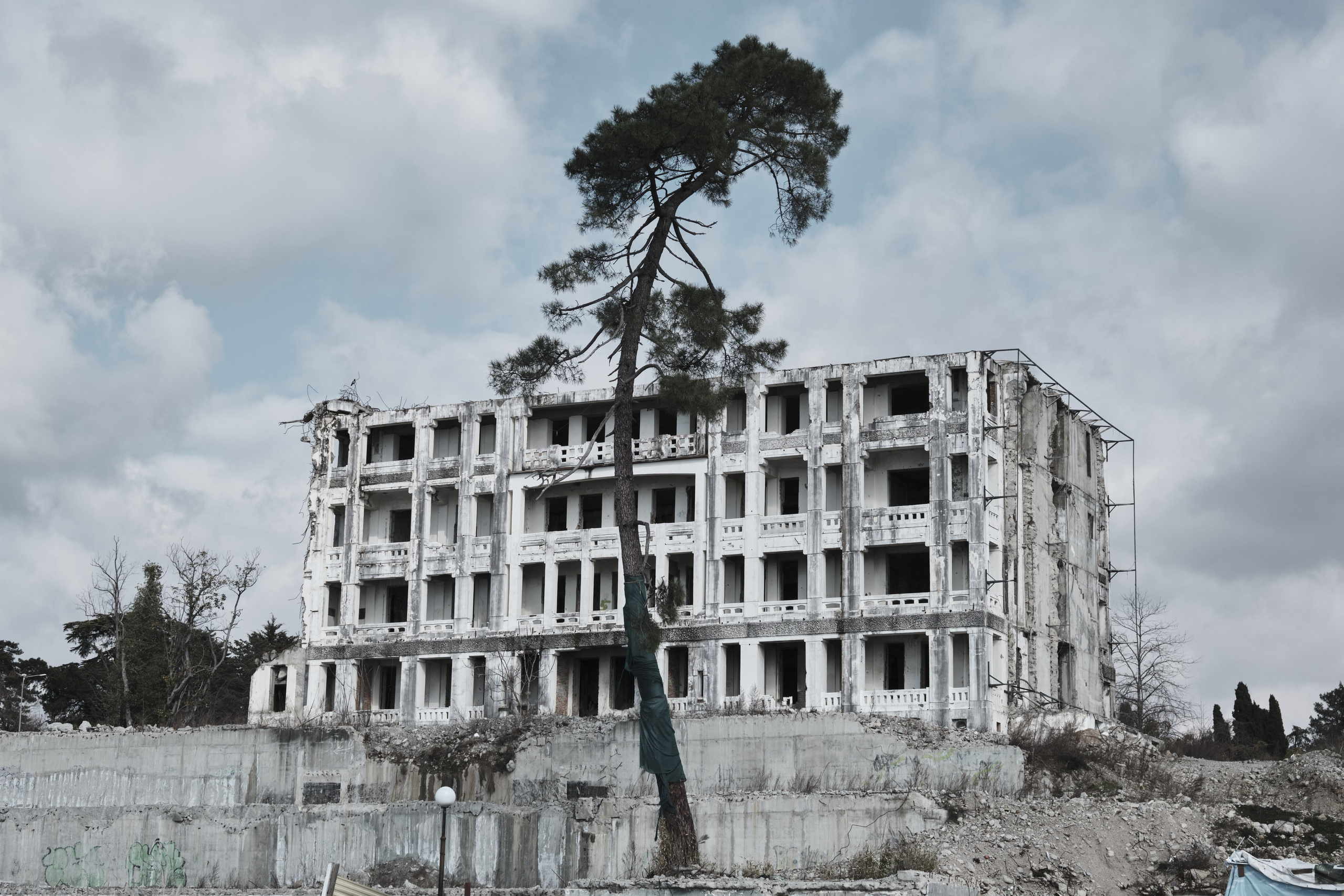 Разрушенное здание на фоне сосны