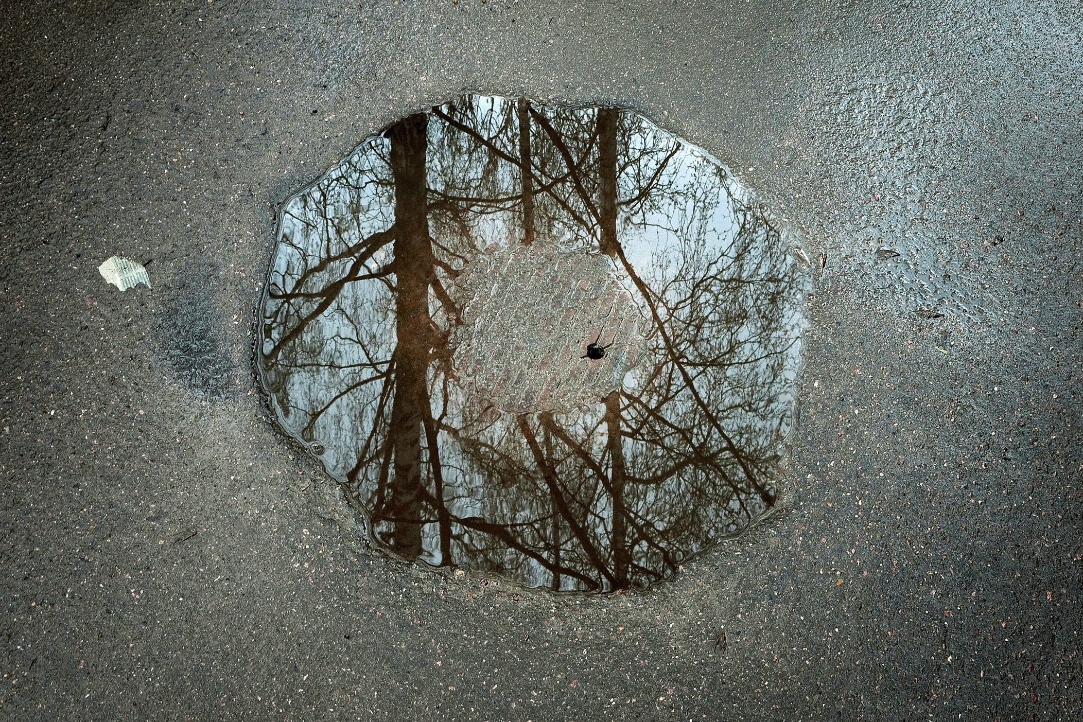 Симуляторы (Каталог № 1). Главная