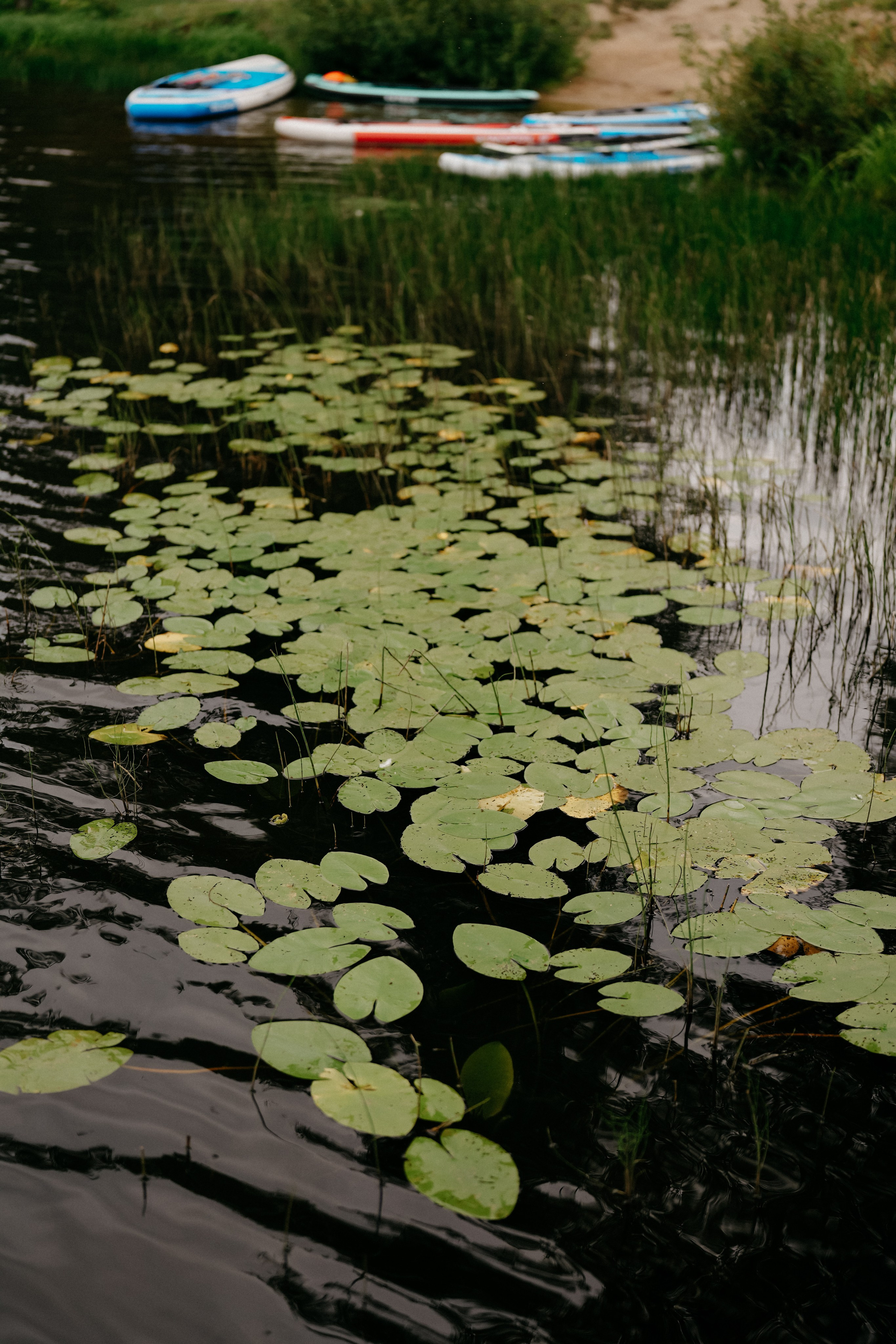 ArrowMedia. Фотограф в Москве Дмитрий Рогов
