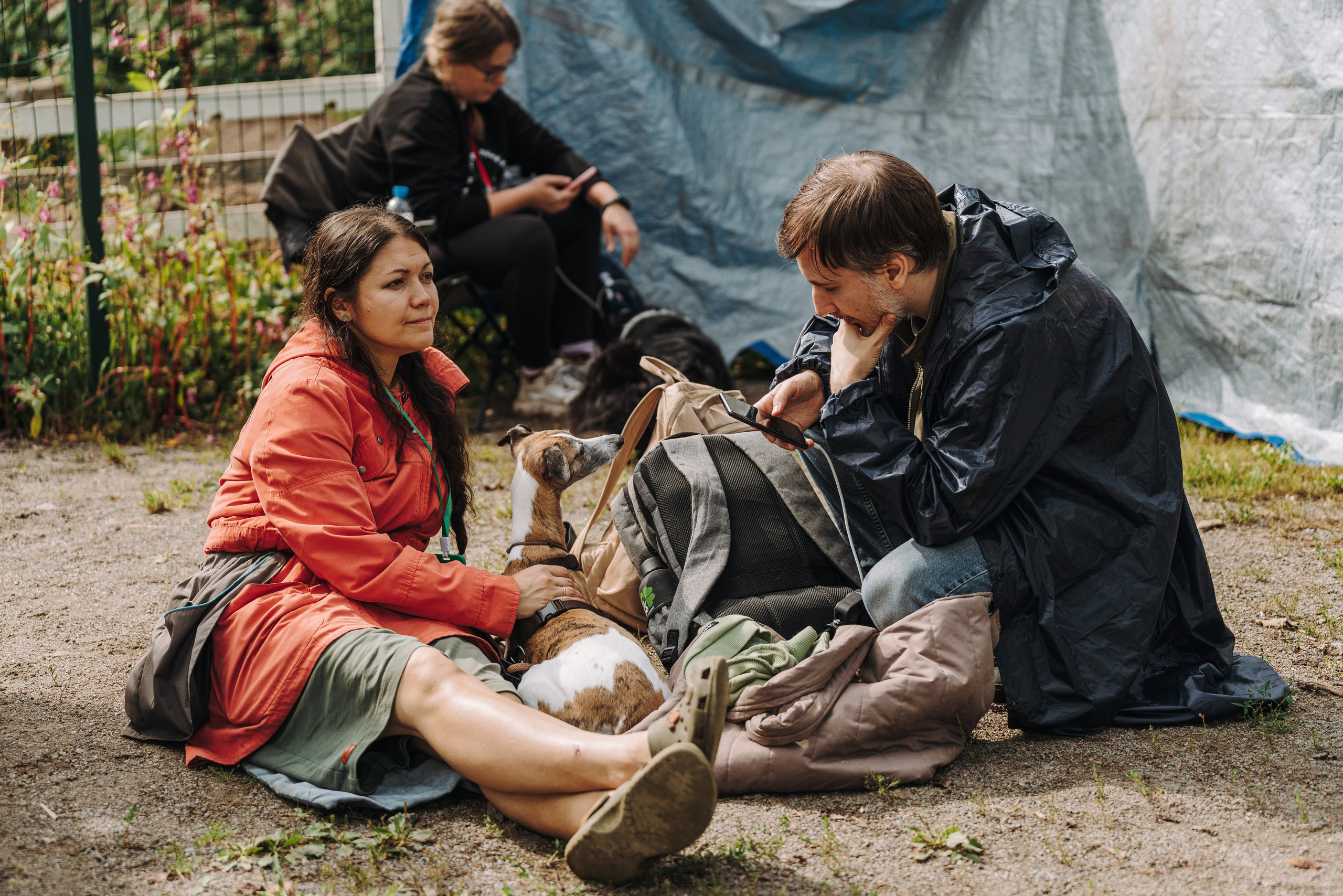 Соревнования по ноузворку в Новожилово. Фотограф анималист в Спб недорого Олеся Майорова
