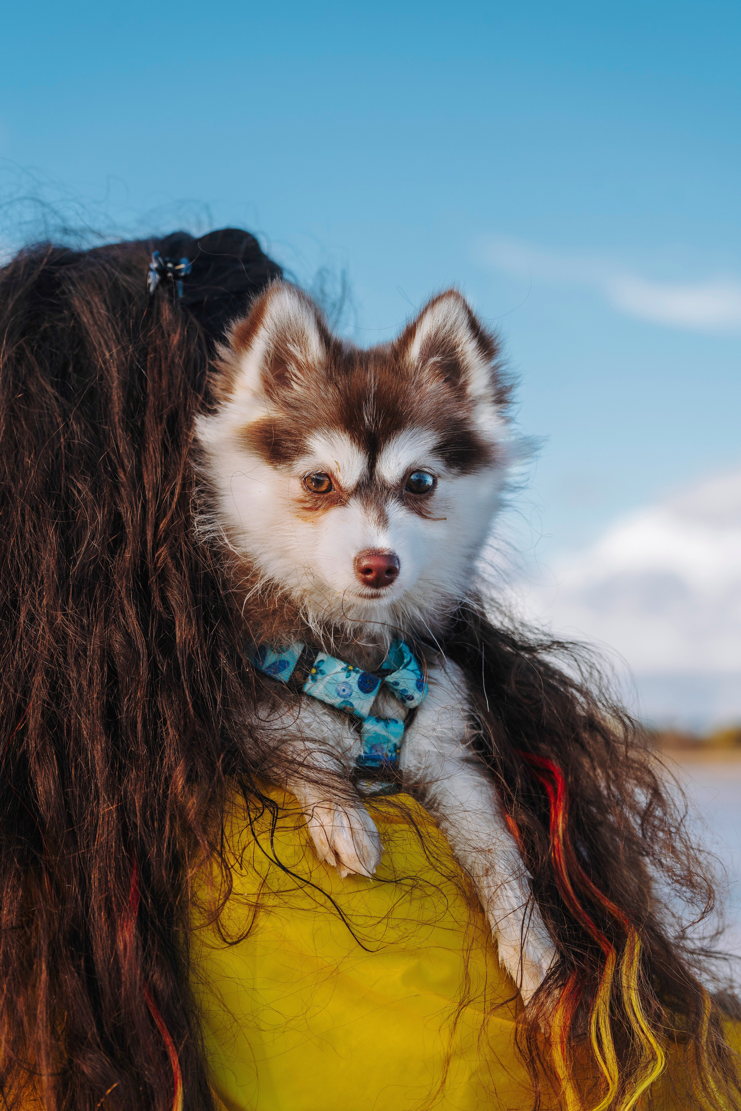 Катерина и Дрэка. Фотограф анималист в Спб недорого Олеся Майорова