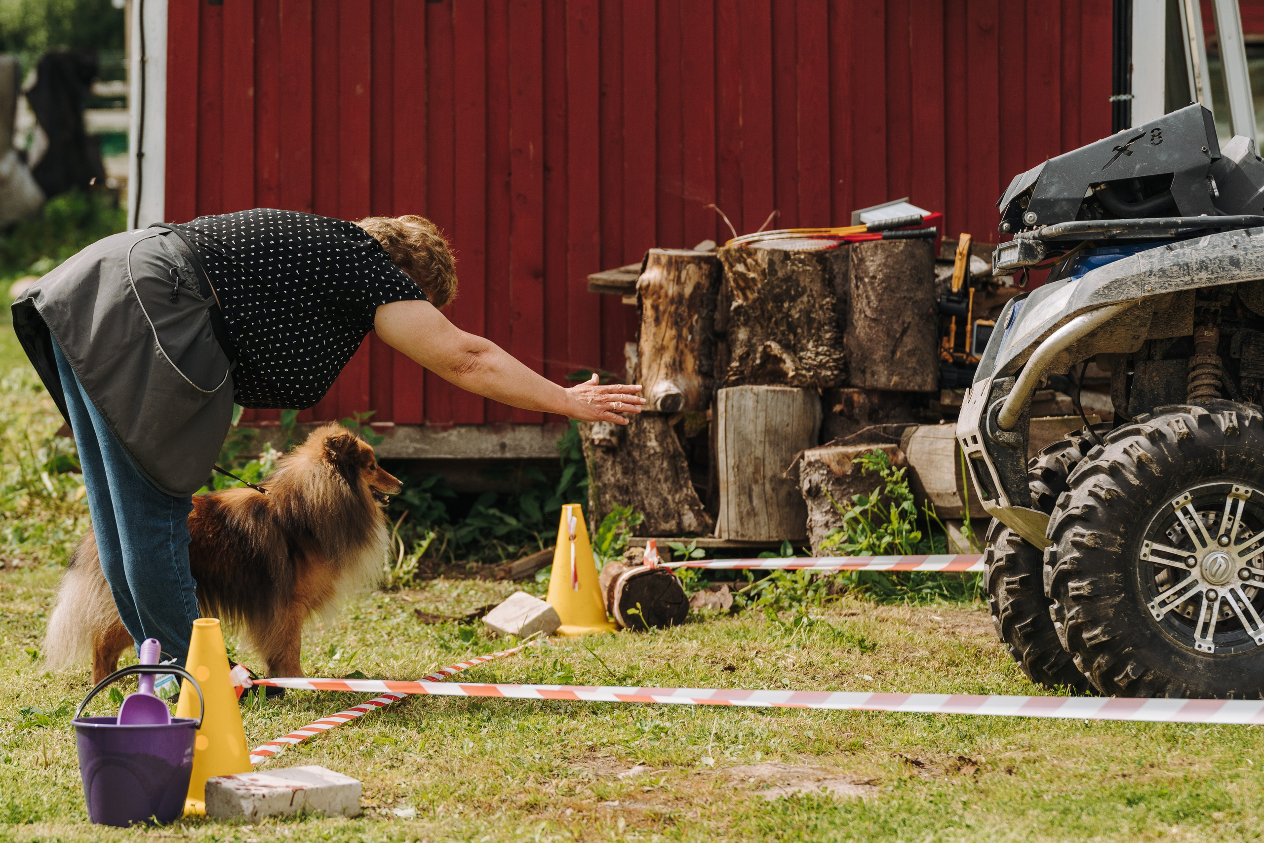 Соревнования по ноузворку. Фотограф анималист в Спб недорого Олеся Майорова