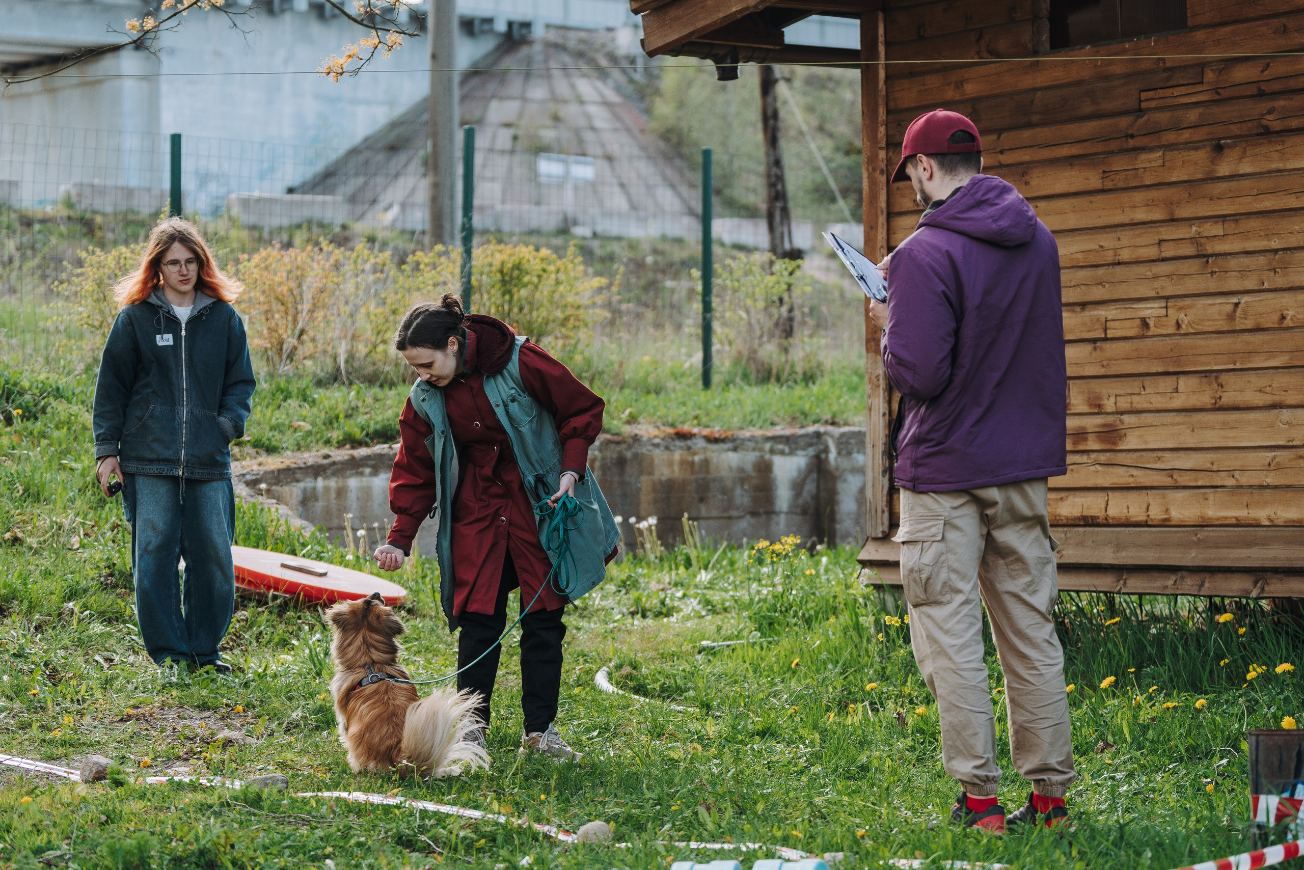 Соревнования по ноузворку в Лосево. Фотограф анималист в Спб недорого Олеся Майорова
