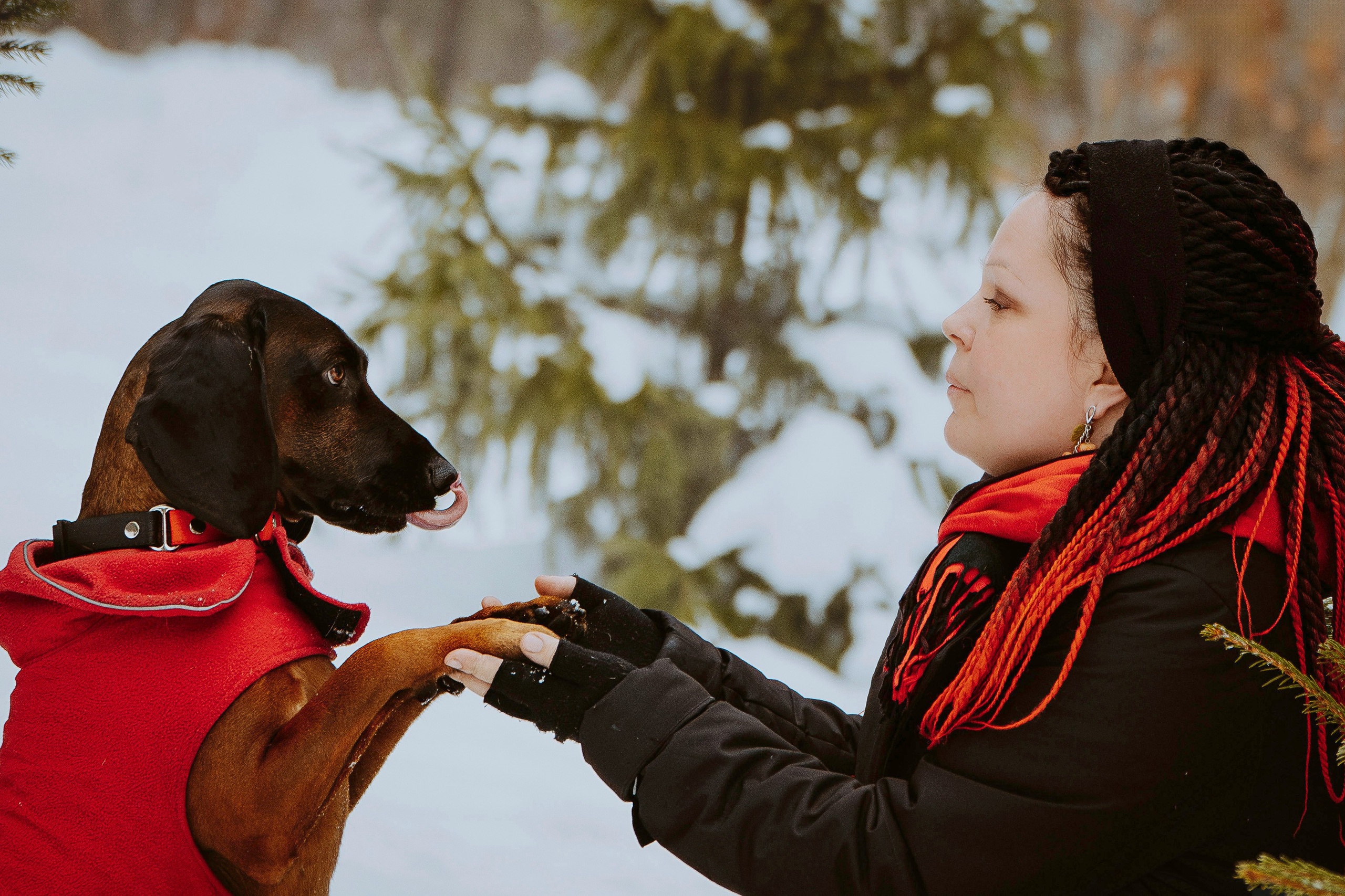 Ольга, Рора и Румпель. Фотограф анималист в Спб недорого Олеся Майорова