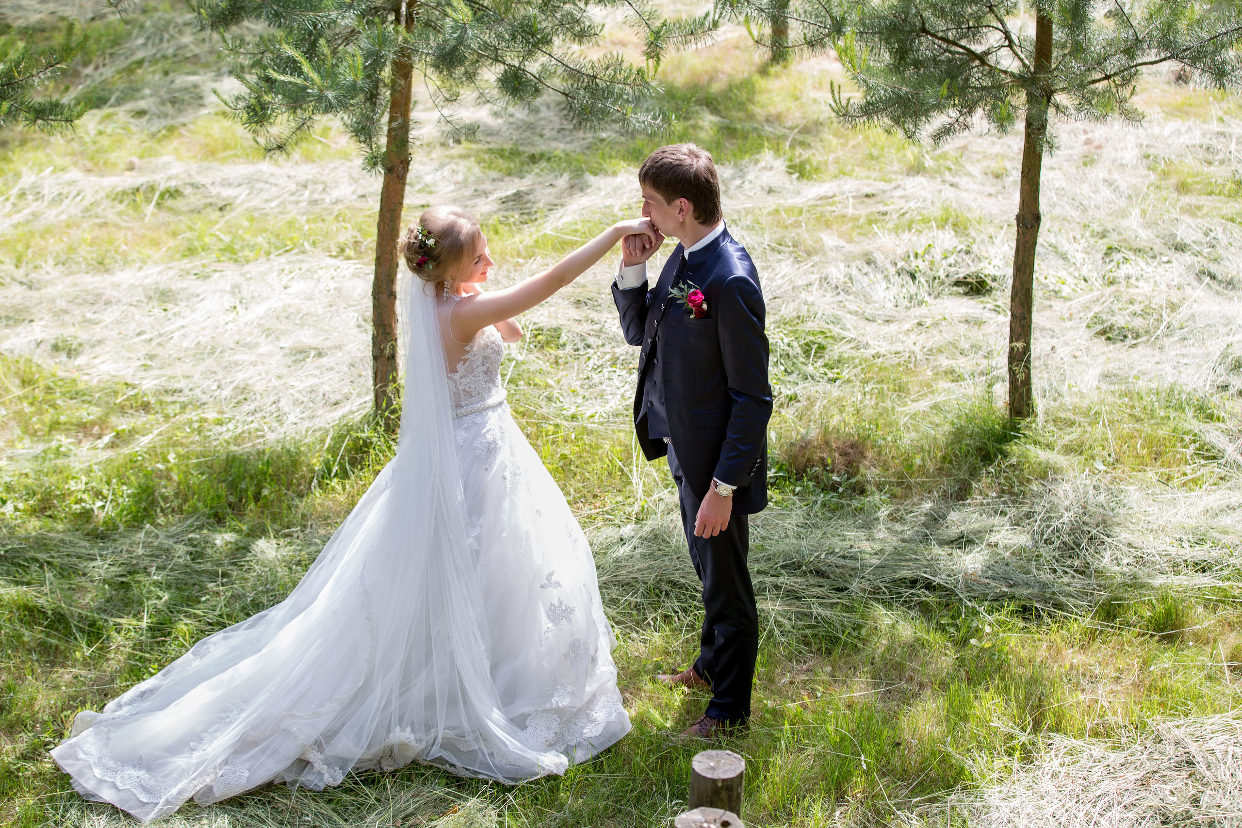 жених целует руку невесты