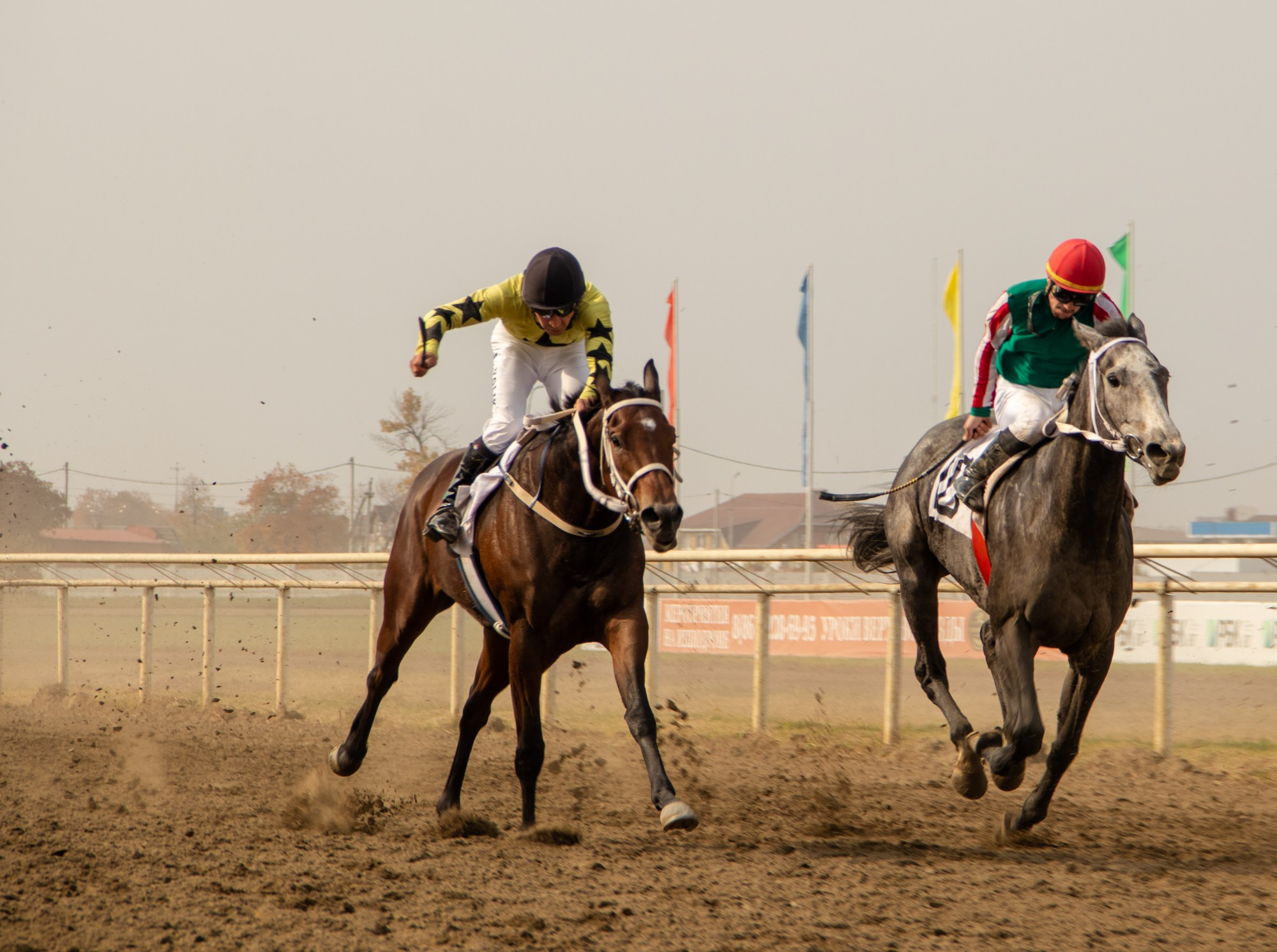 Закрытие скакового сезона на Краснодарском ипподроме. Репортажный, промышленный и маркетплейс-фотограф Дмитрий Чернат