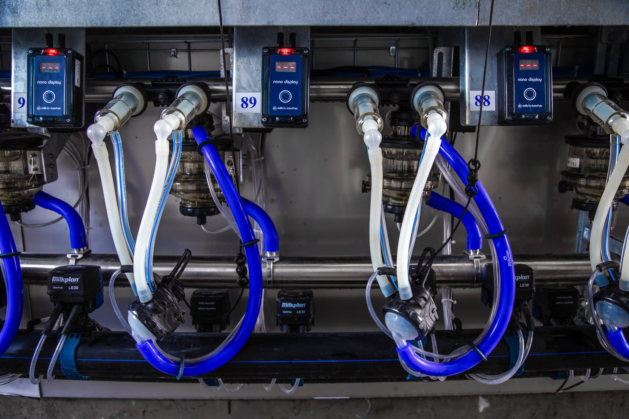 Открытие карусели для дойки скота. Репортажный, промышленный и маркетплейс-фотограф Дмитрий Чернат