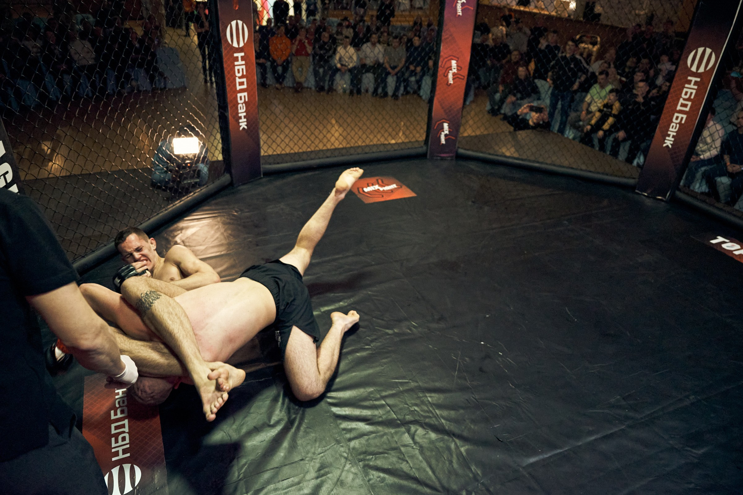 Бои. Маляревич Дмитрий свадебный фотограф