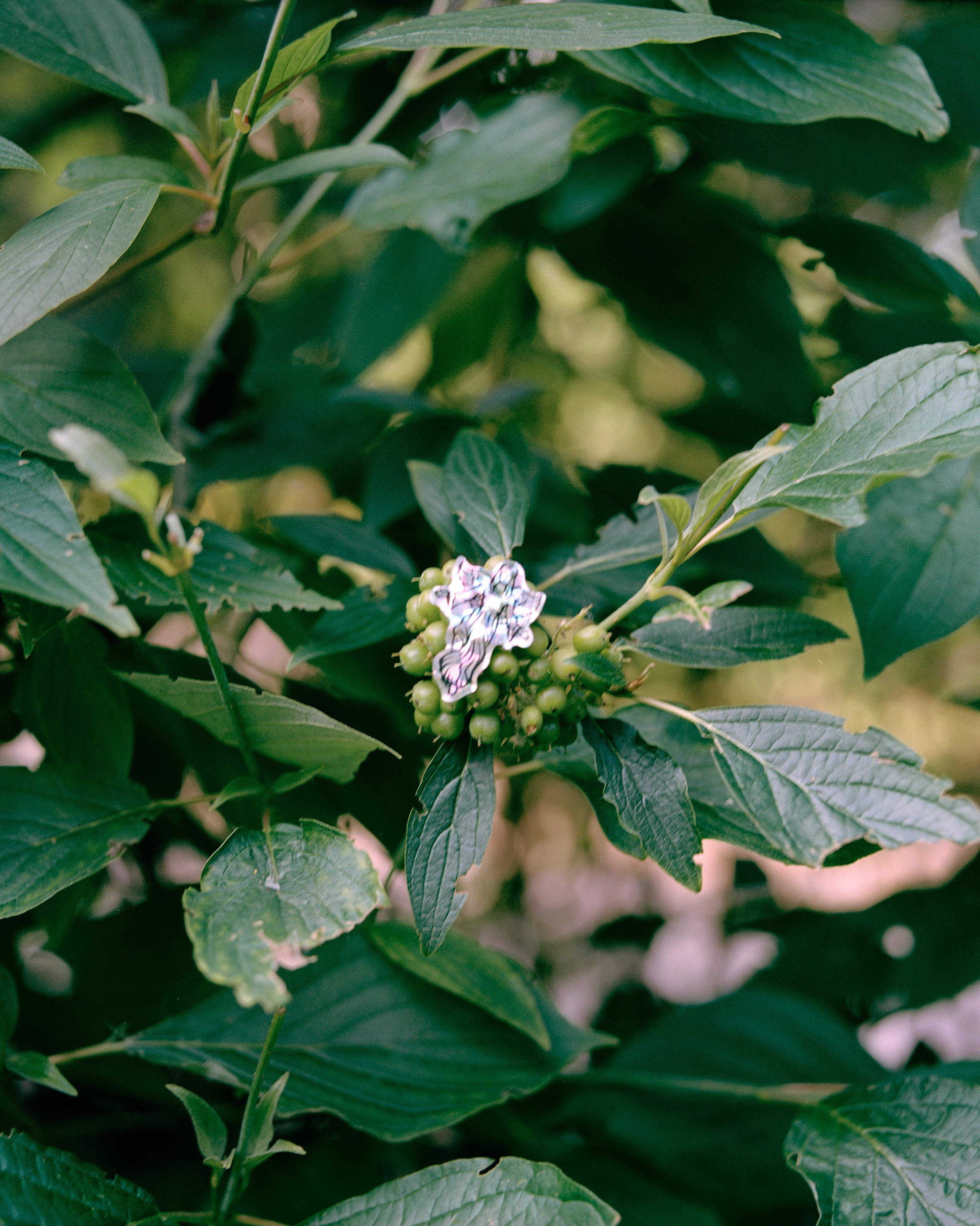 Just magazine: Summer in the city. Фотограф из Москвы
