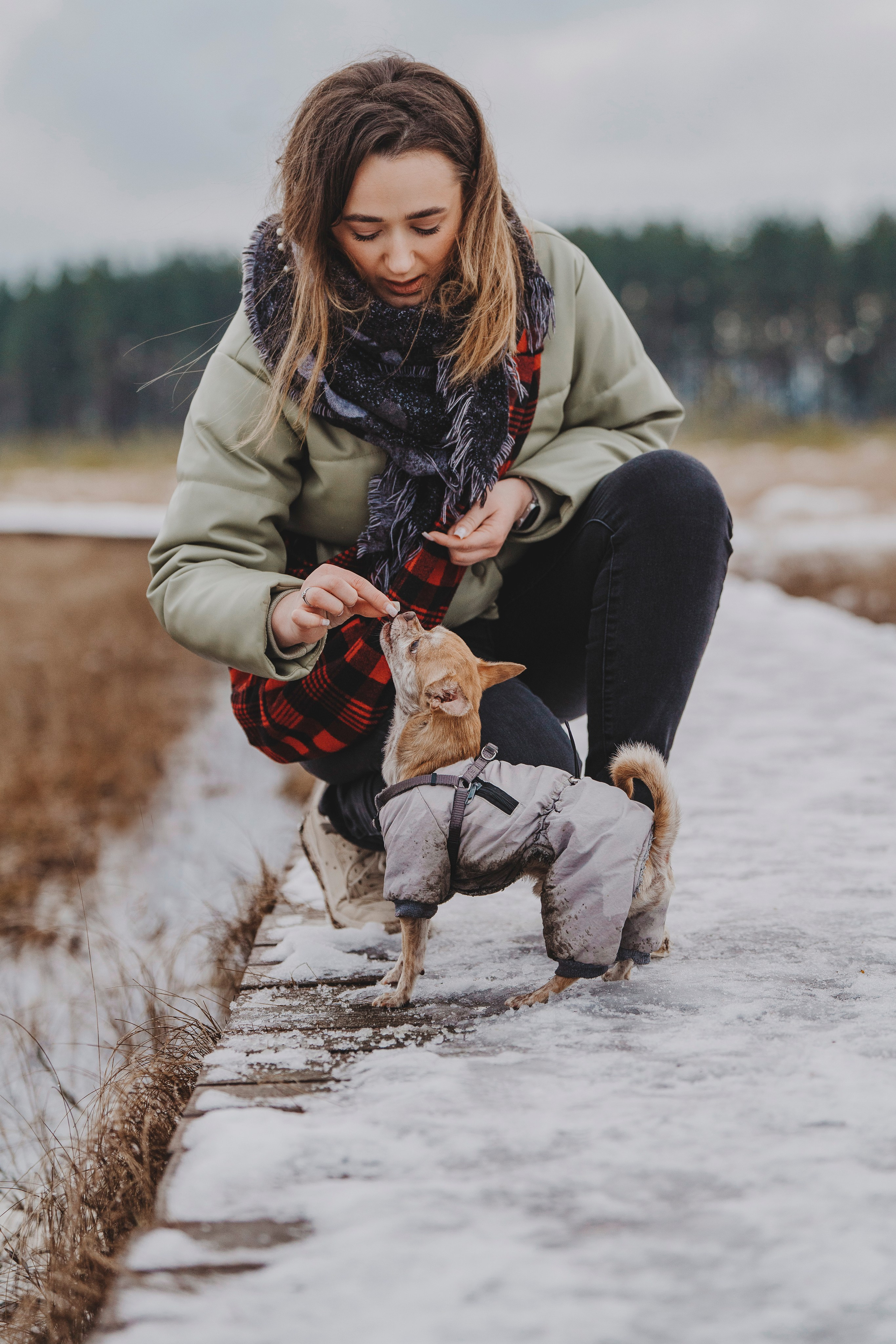 Наталия и Боря. Фотограф анималист в Спб недорого Олеся Майорова