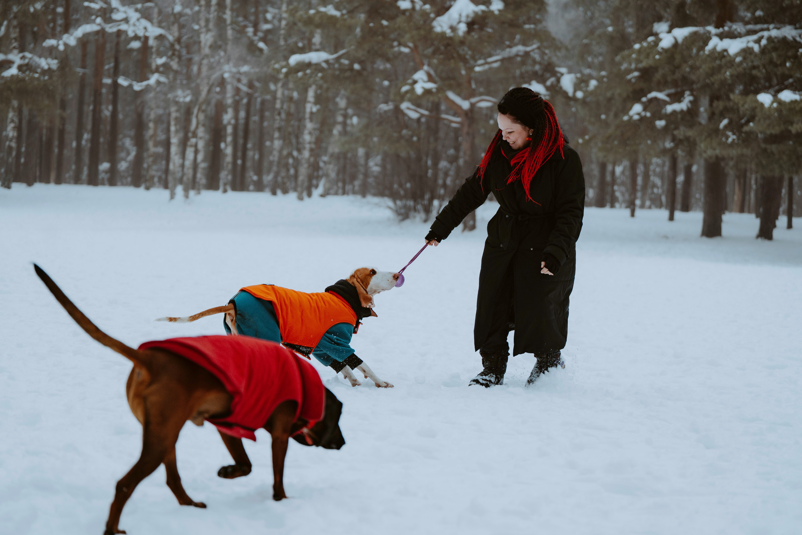 Ольга, Рора и Румпель. Фотограф анималист в Спб недорого Олеся Майорова