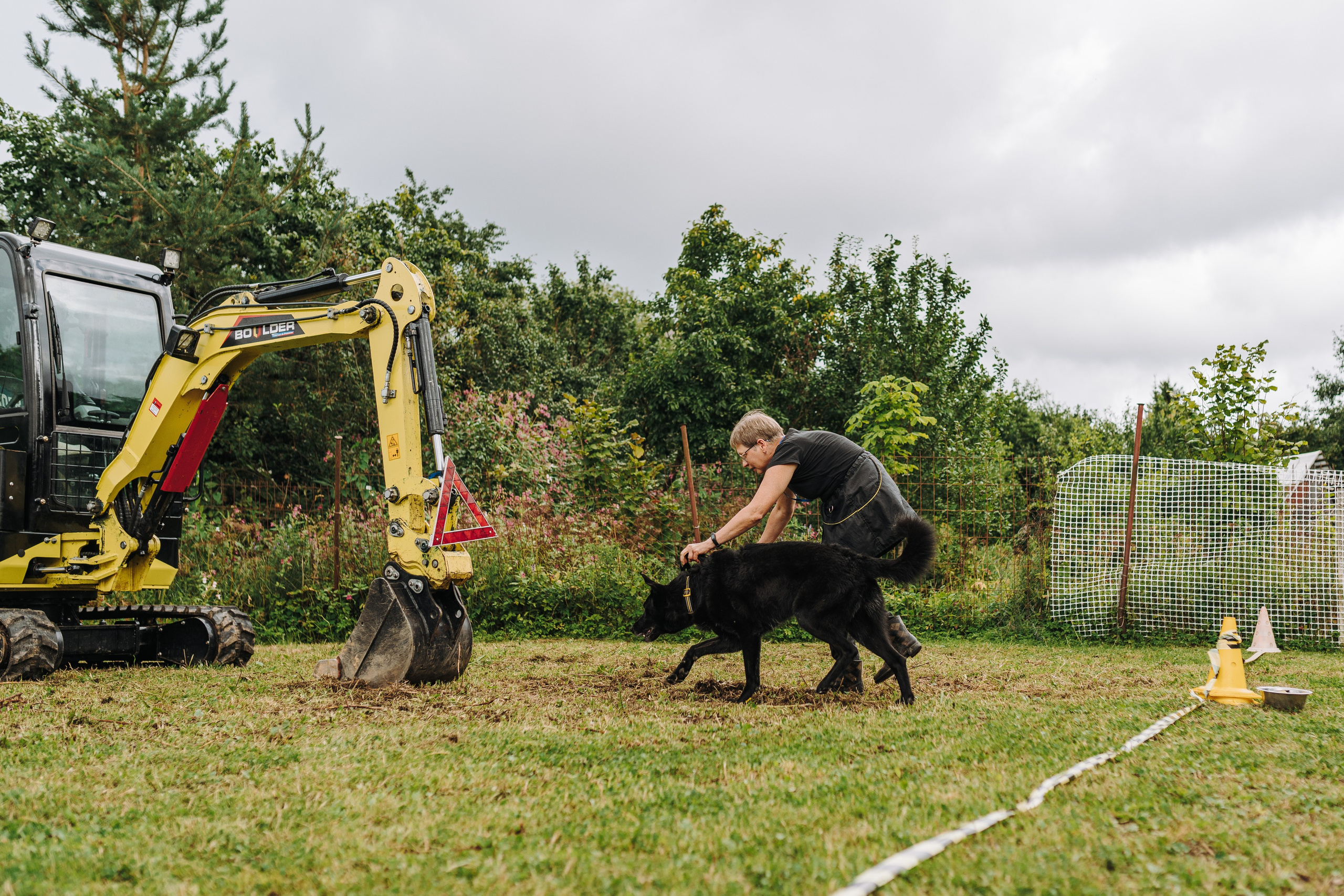 Соревнования по ноузворку в Новожилово. Фотограф анималист в Спб недорого Олеся Майорова