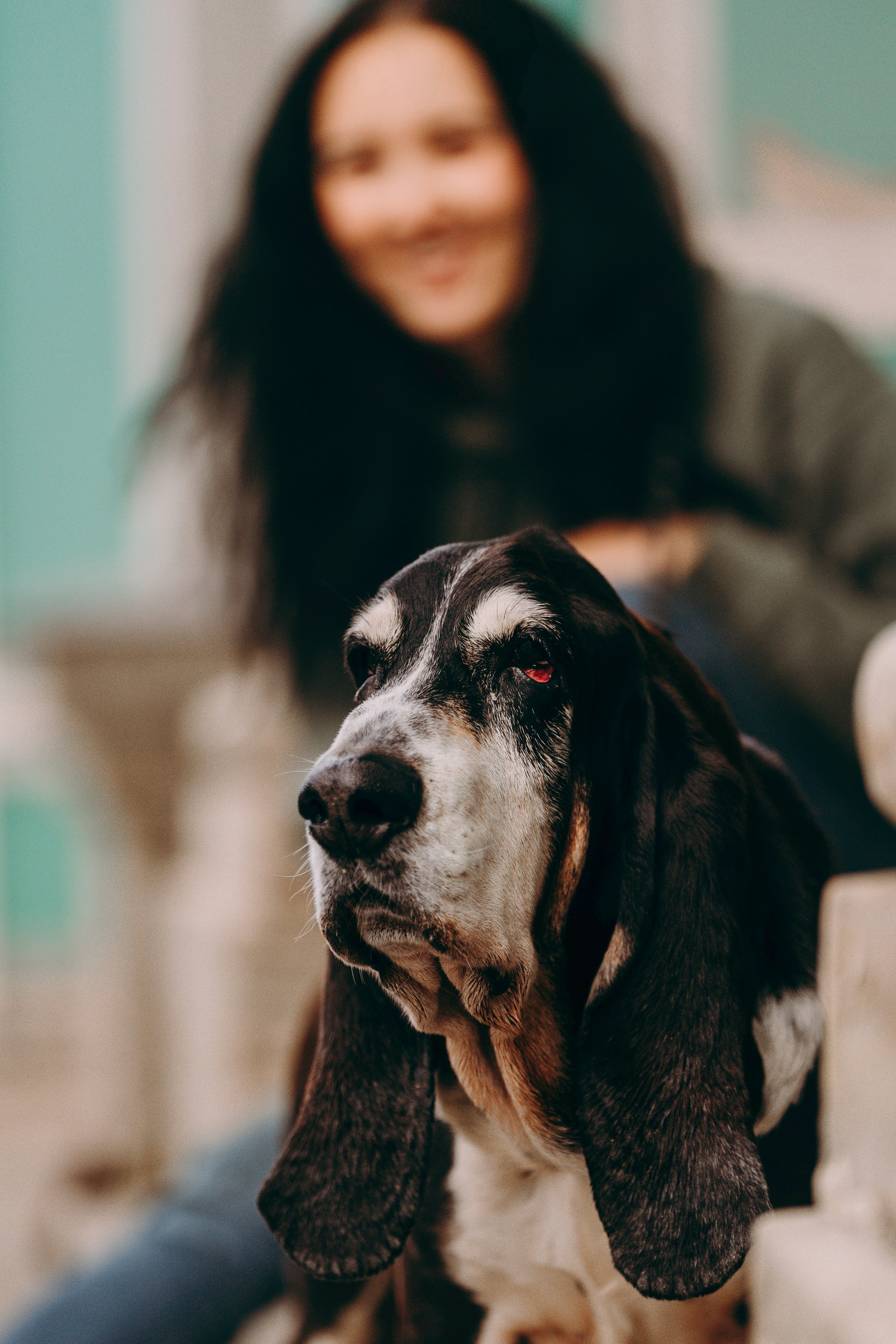Елизавета и Епифан. Фотограф анималист в Спб недорого Олеся Майорова
