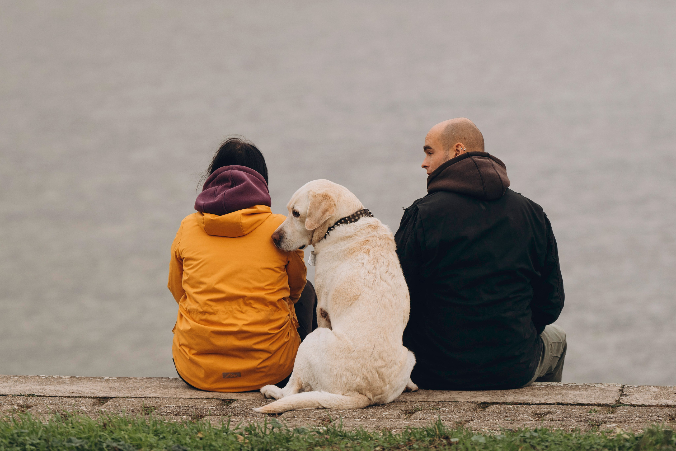Вати, Лена и Леван. Фотограф анималист в Спб недорого Олеся Майорова