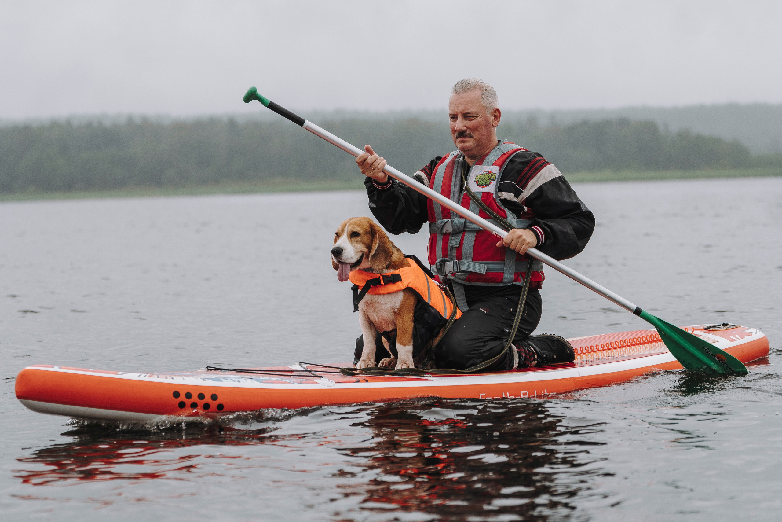Катание на сапах с собаками. Фотограф анималист в Спб недорого Олеся Майорова