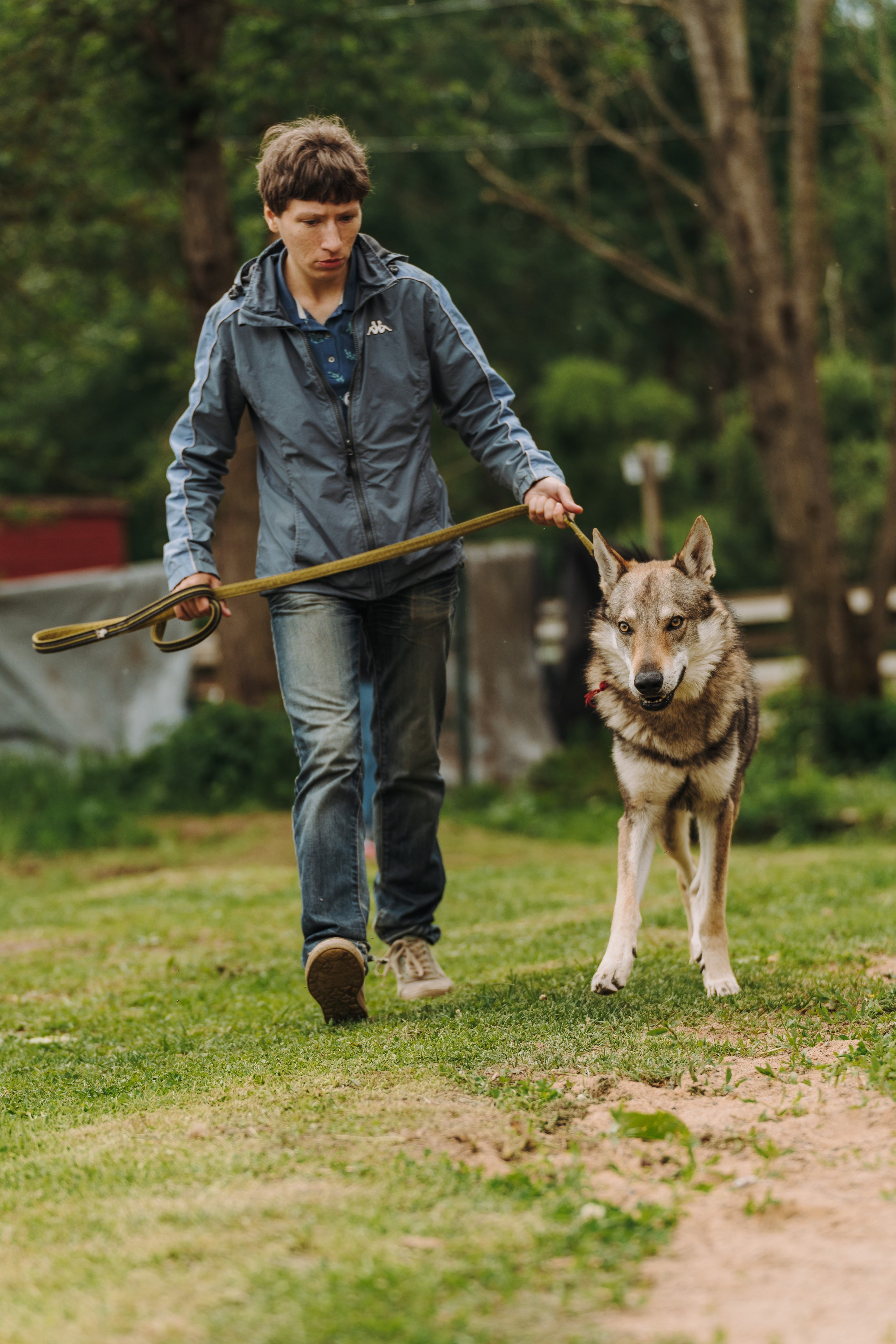 Соревнования по ноузворку. Фотограф анималист в Спб недорого Олеся Майорова