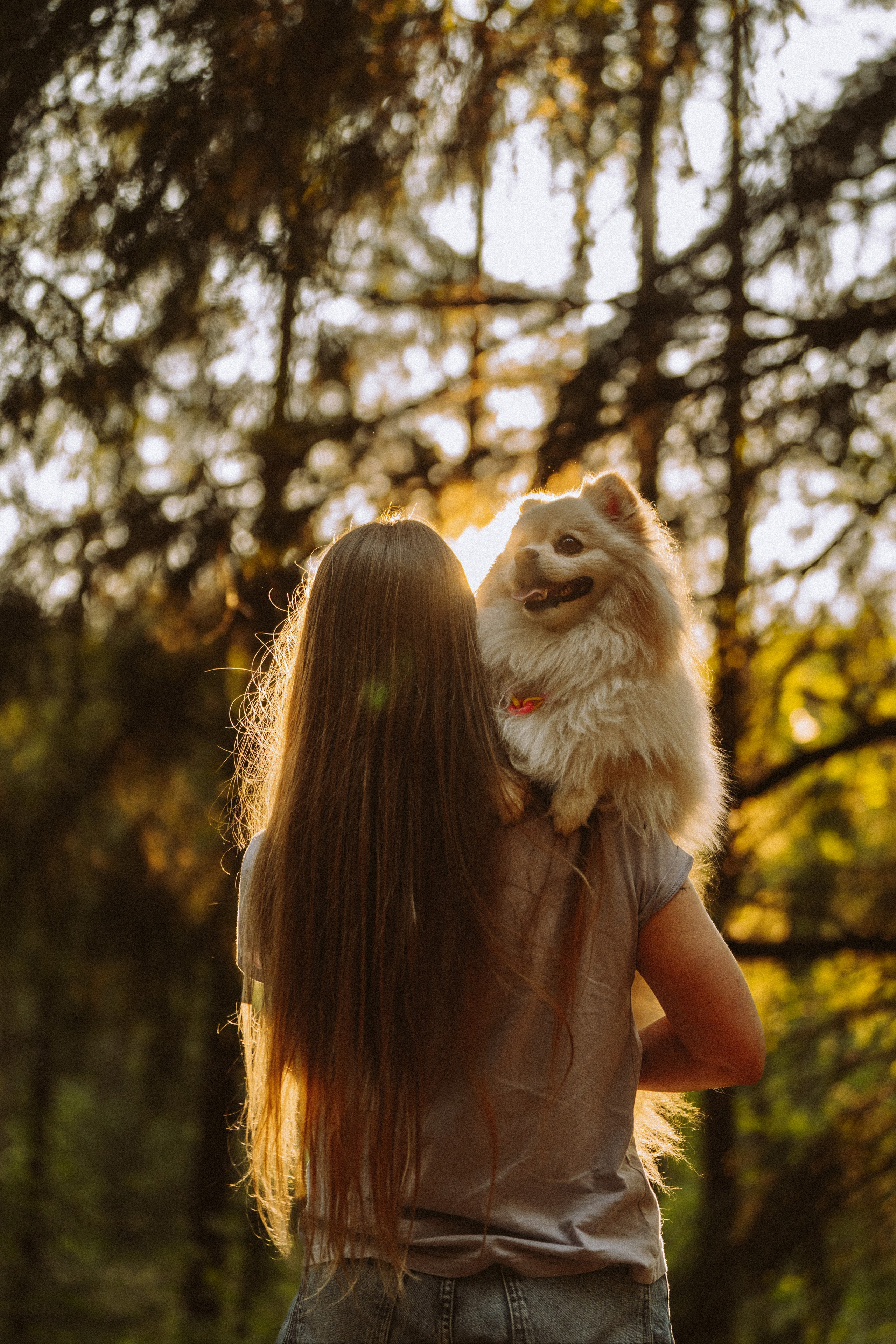 Фотосессия с собачкой в лесу. Фотограф анималист в Спб недорого Олеся Майорова