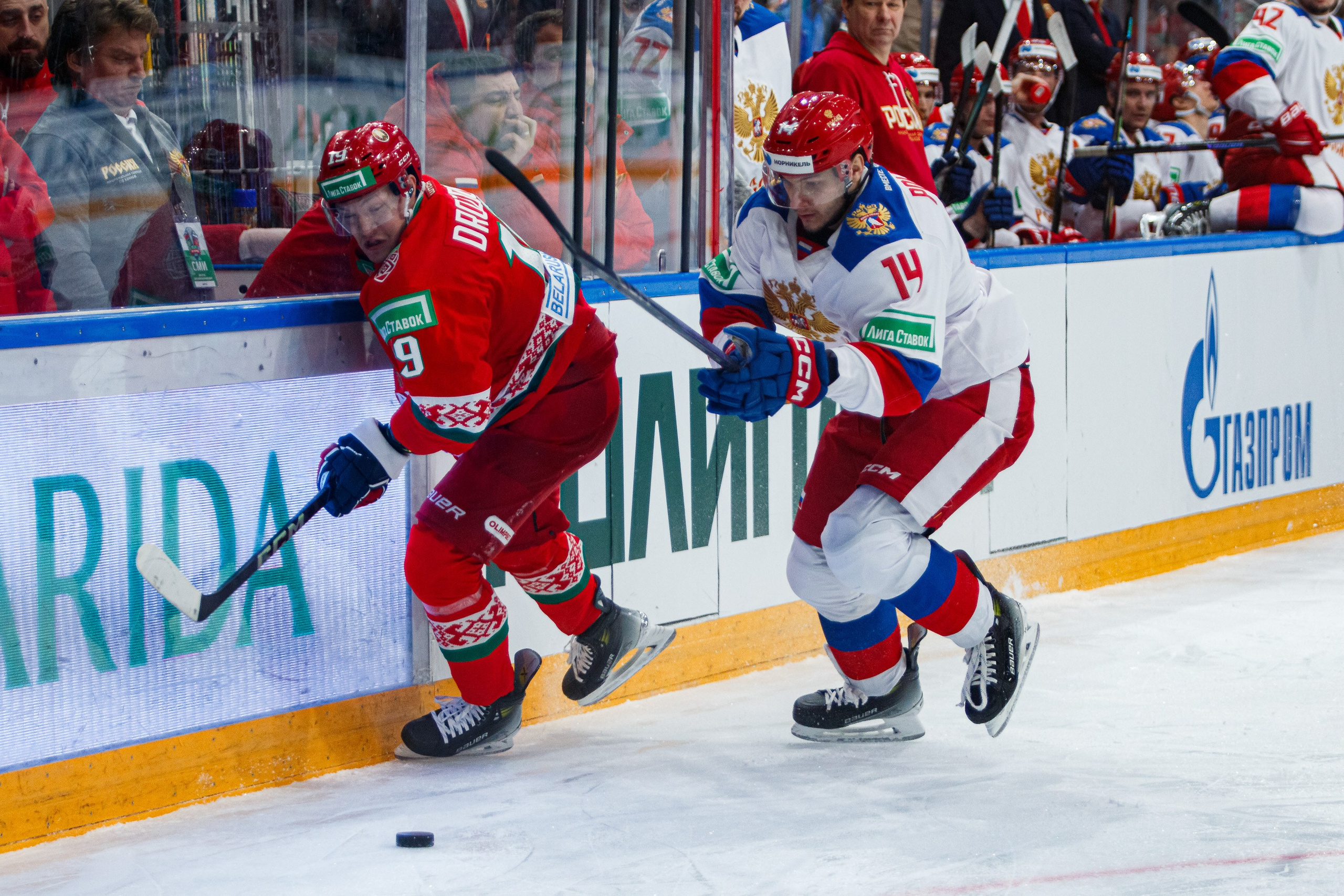 Россия — Беларусь. Спортивный фотограф в Смоленске — Екатерина Степенок