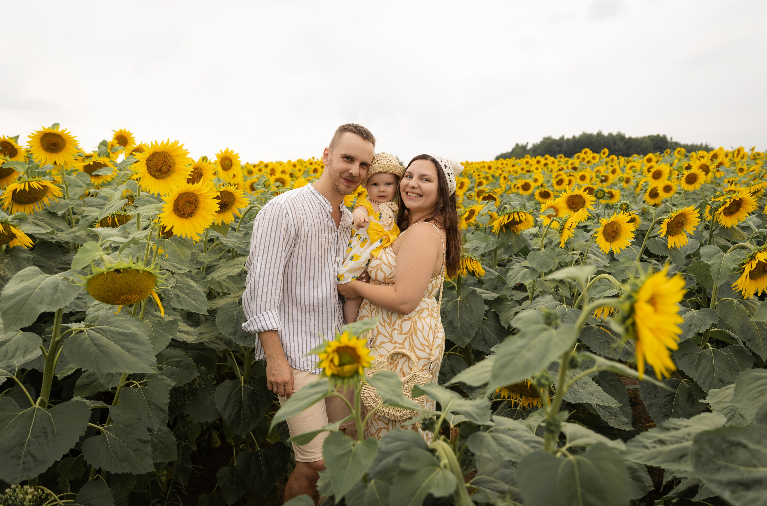 Подсолнухи. Фотограф в Нижнем Новгороде, Дзержинске Олеся Хозяева