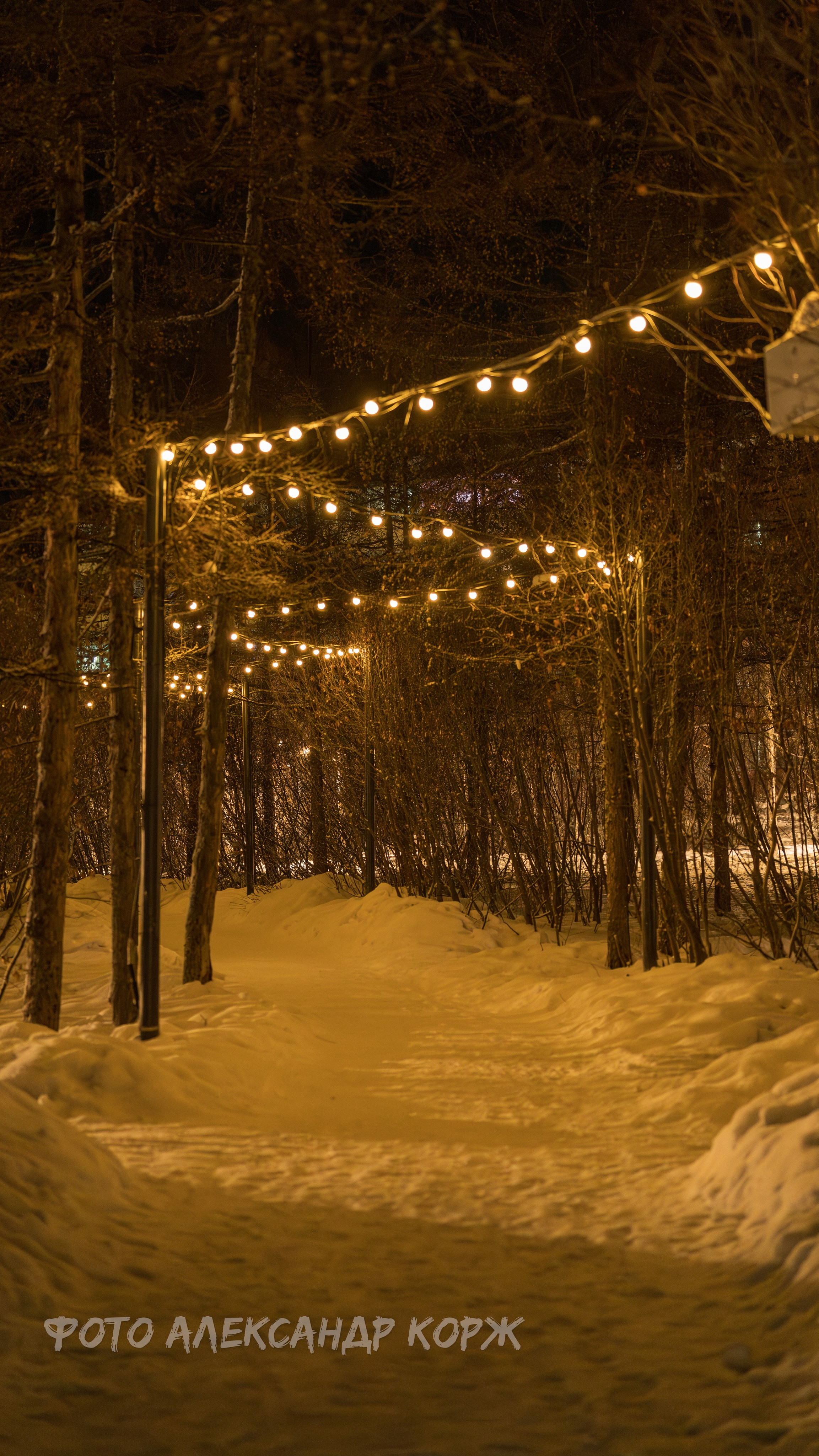 Природа крайнего Севера. Айхал. Фотографии и видеосъемка, Айхал, Удачный, Якутия. Фотографии Айхал