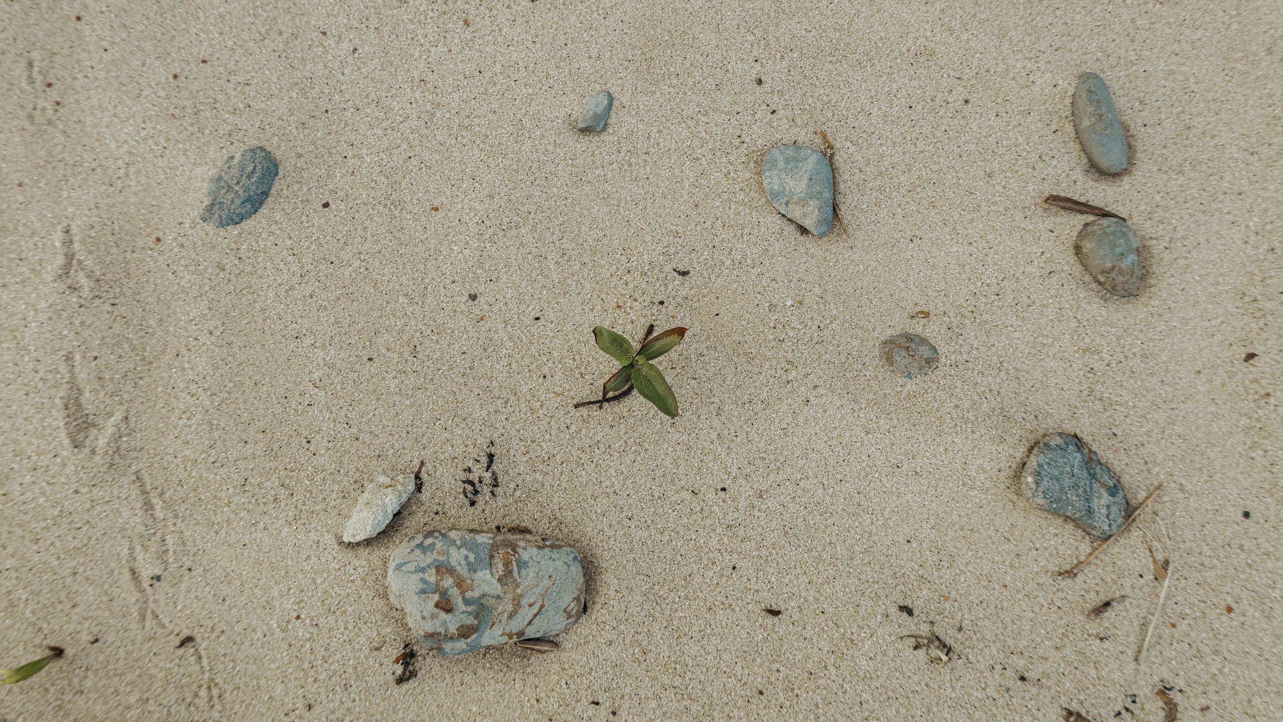 Фотосесиия сестёр в русском стиле на Александровском Грабене + беременность. Профессиональный фотограф в Санкт-Петербурге Александр Волосенцев