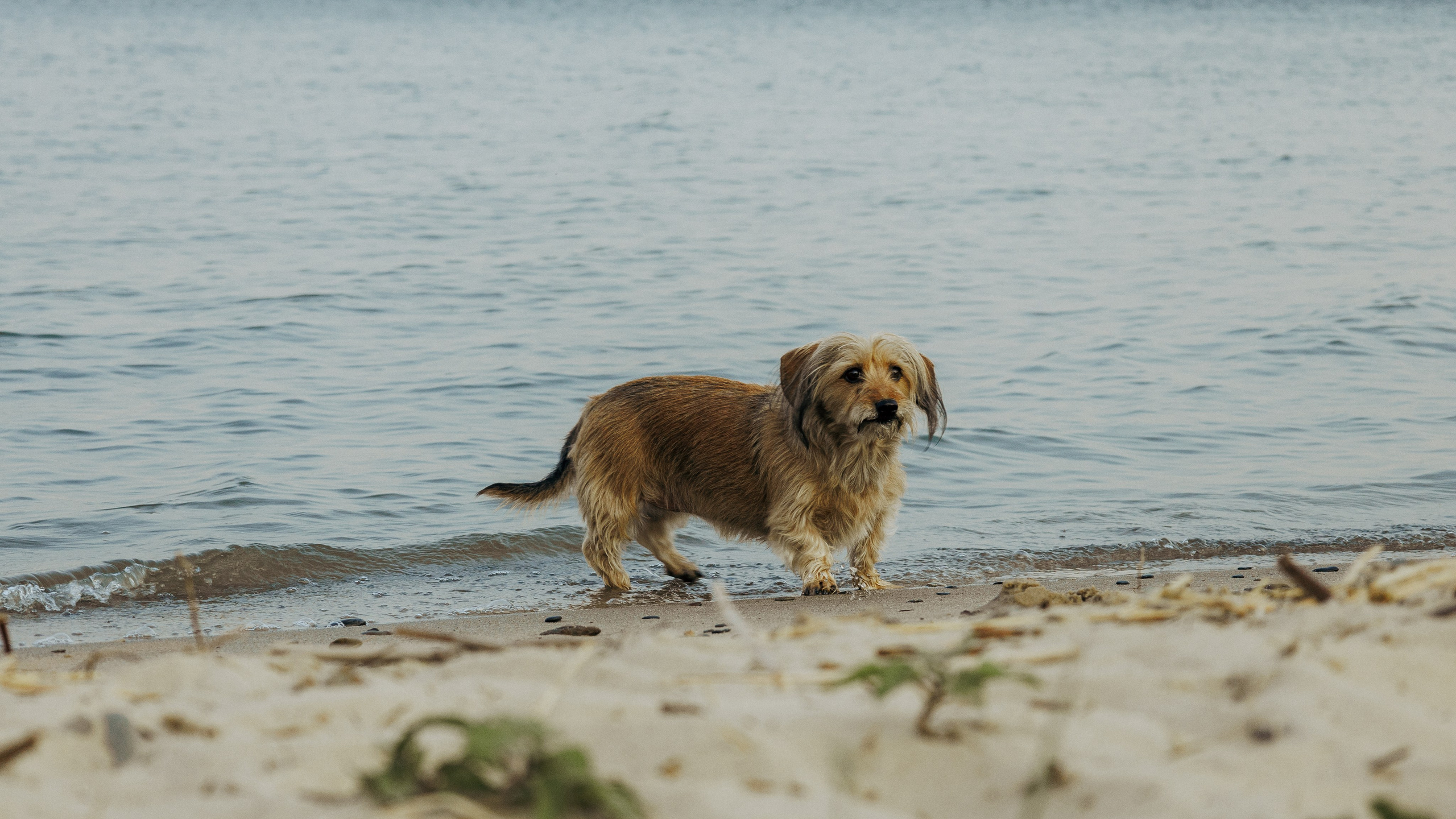 Фотосесиия сестёр в русском стиле на Александровском Грабене + беременность. Профессиональный фотограф в Санкт-Петербурге Александр Волосенцев